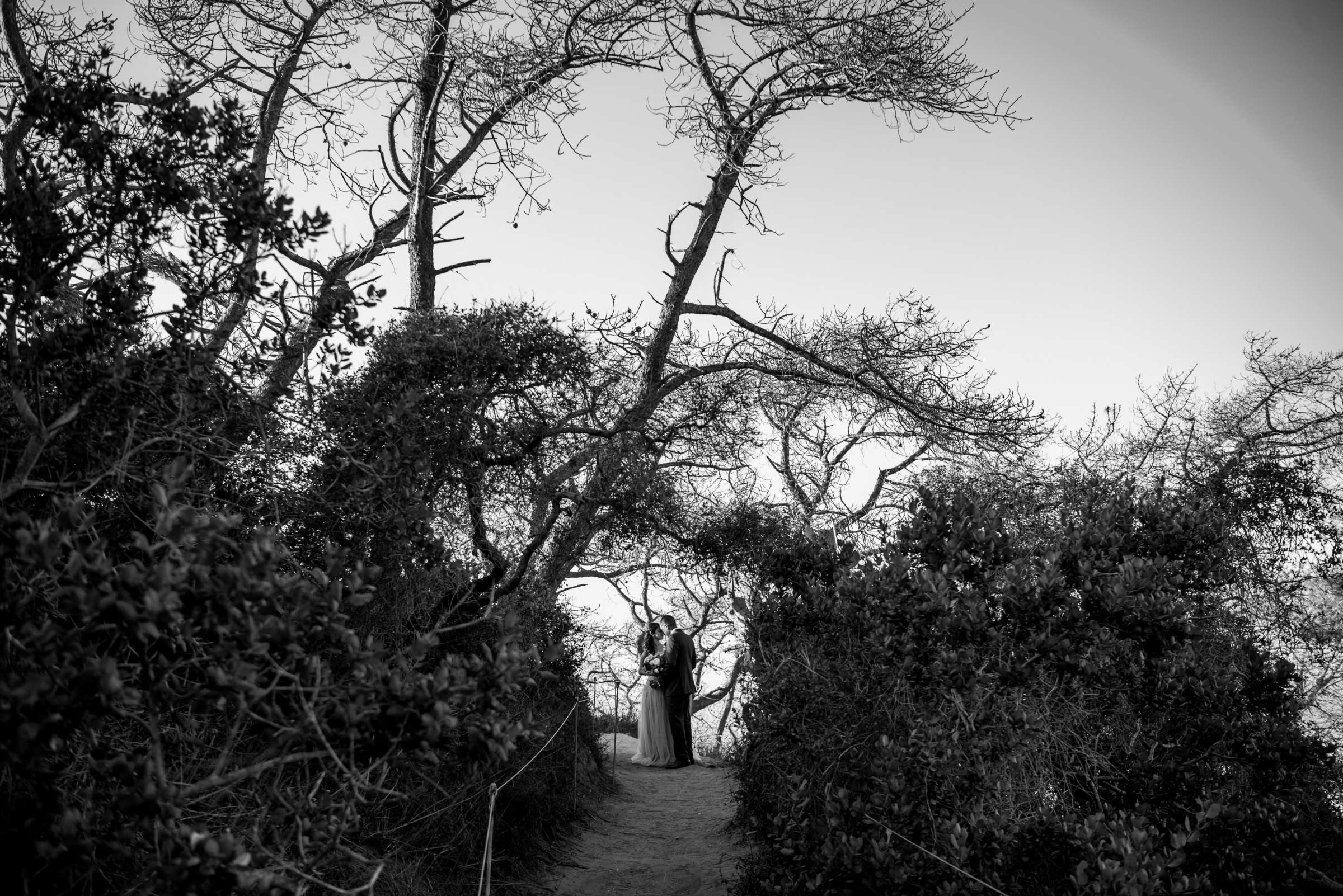 Torrey Pines State Natural Reserve Wedding, Natasha and Jake Wedding Photo #440774 by True Photography