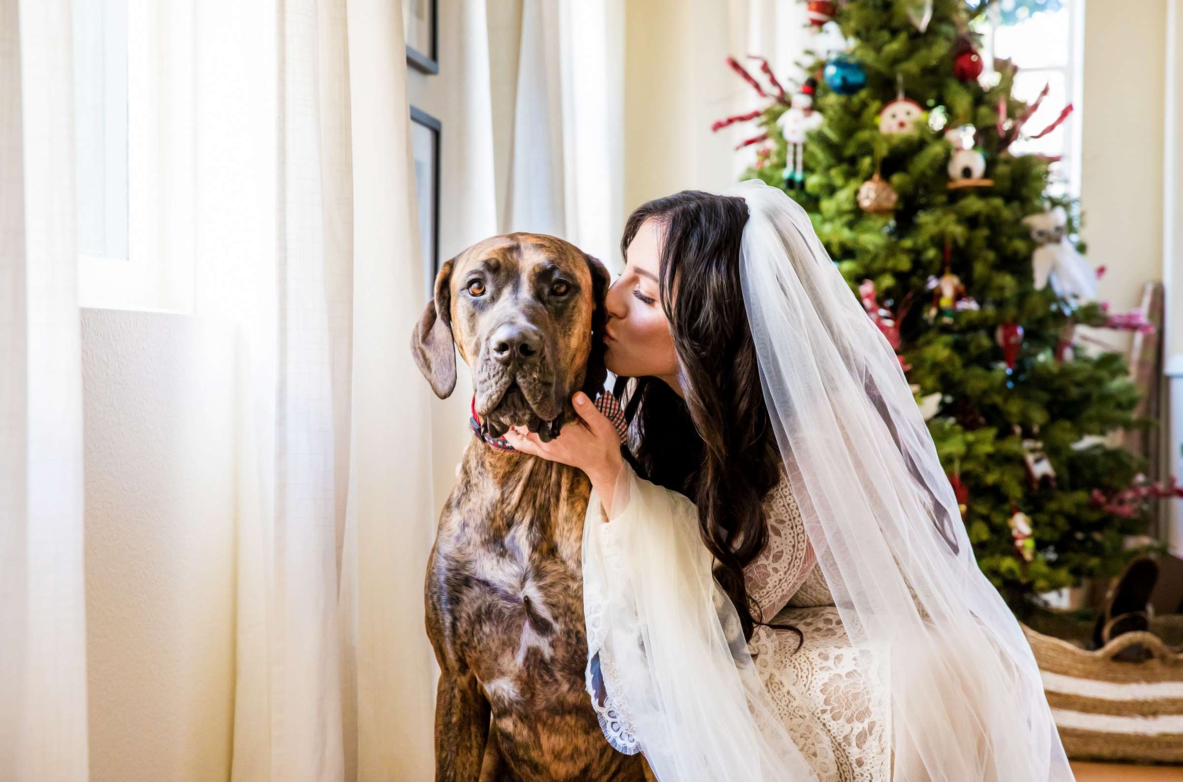 Wedding, Christina and William Wedding Photo #21 by True Photography