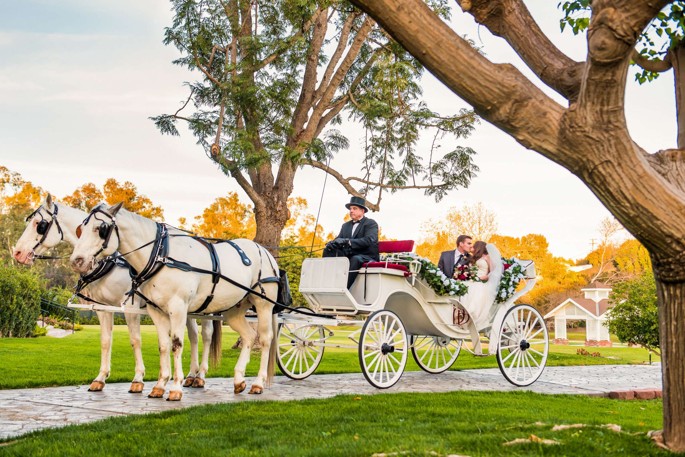 Wedding coordinated by Grand Tradition Estate, Alyssa and Ben Wedding Photo #3 by True Photography