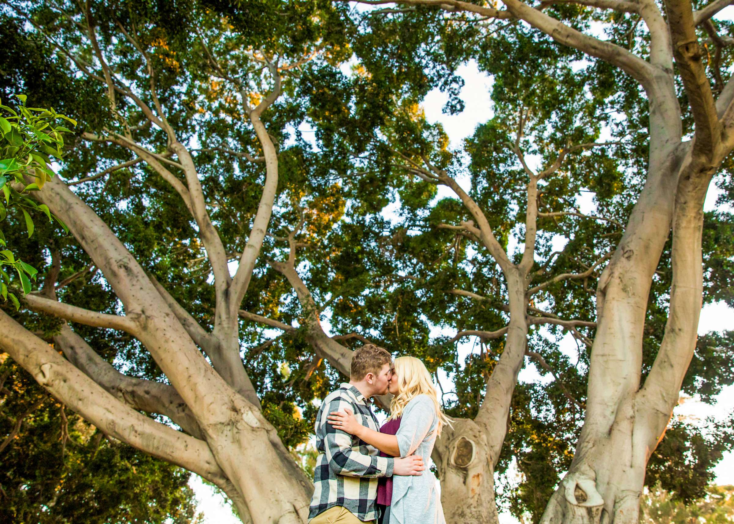 Engagement, Emily and Dalton Engagement Photo #443019 by True Photography