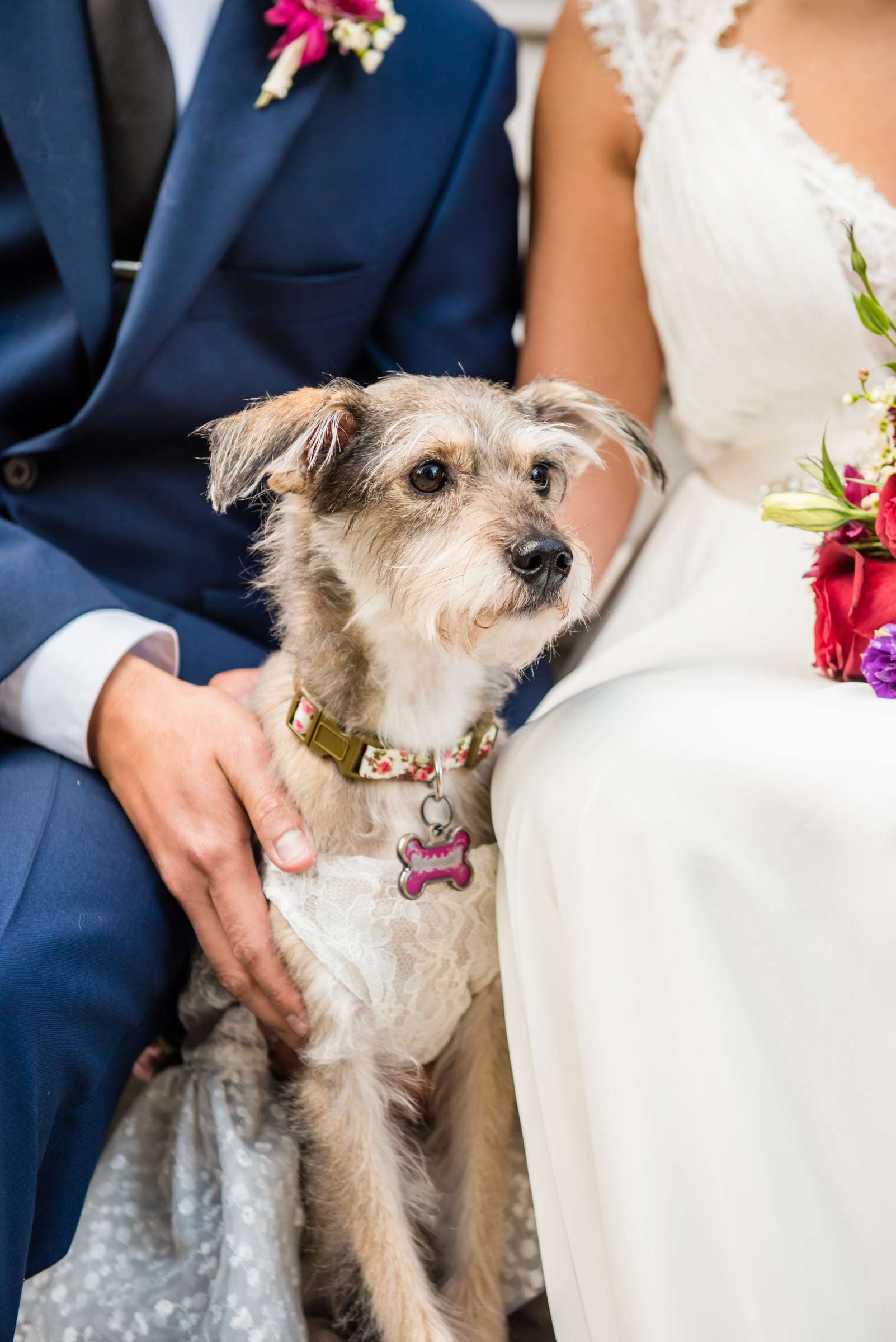 Green Gables Wedding Estate Wedding, Janelle and Ariel Wedding Photo #447897 by True Photography