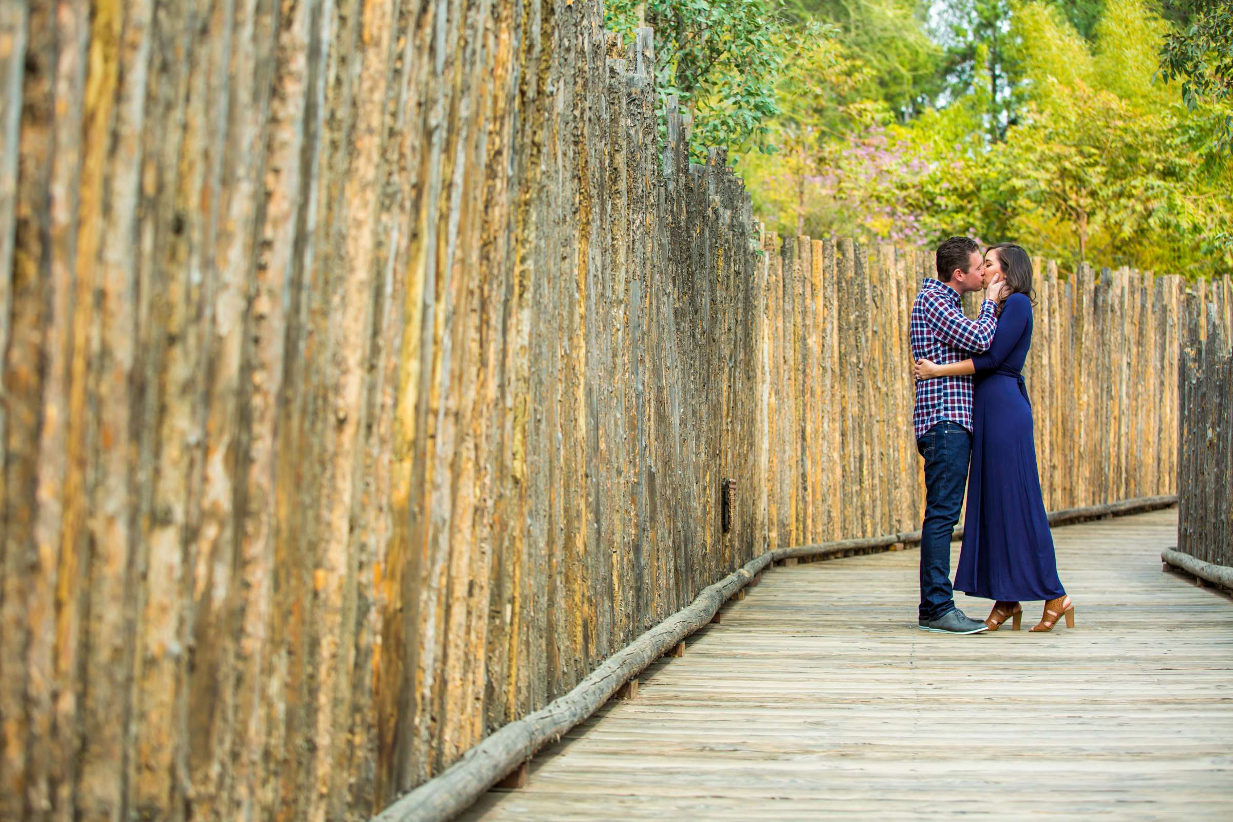 Engagement, Sarah and Zach Engagement Photo #449316 by True Photography