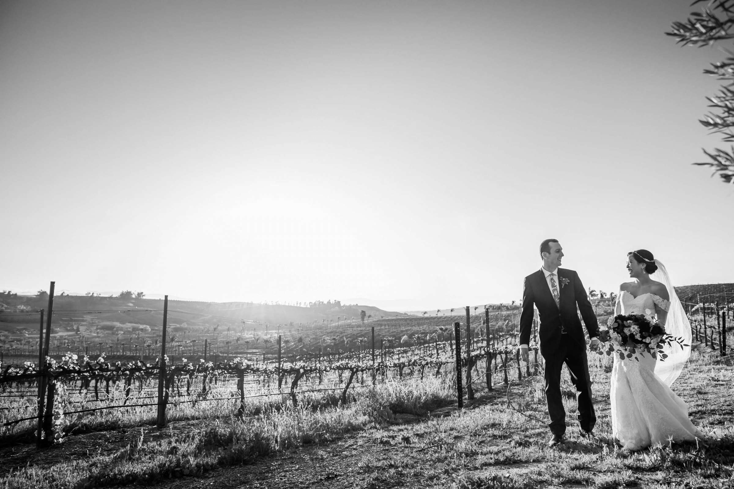 Falkner Winery Wedding, Valerie and Josh Wedding Photo #18 by True Photography