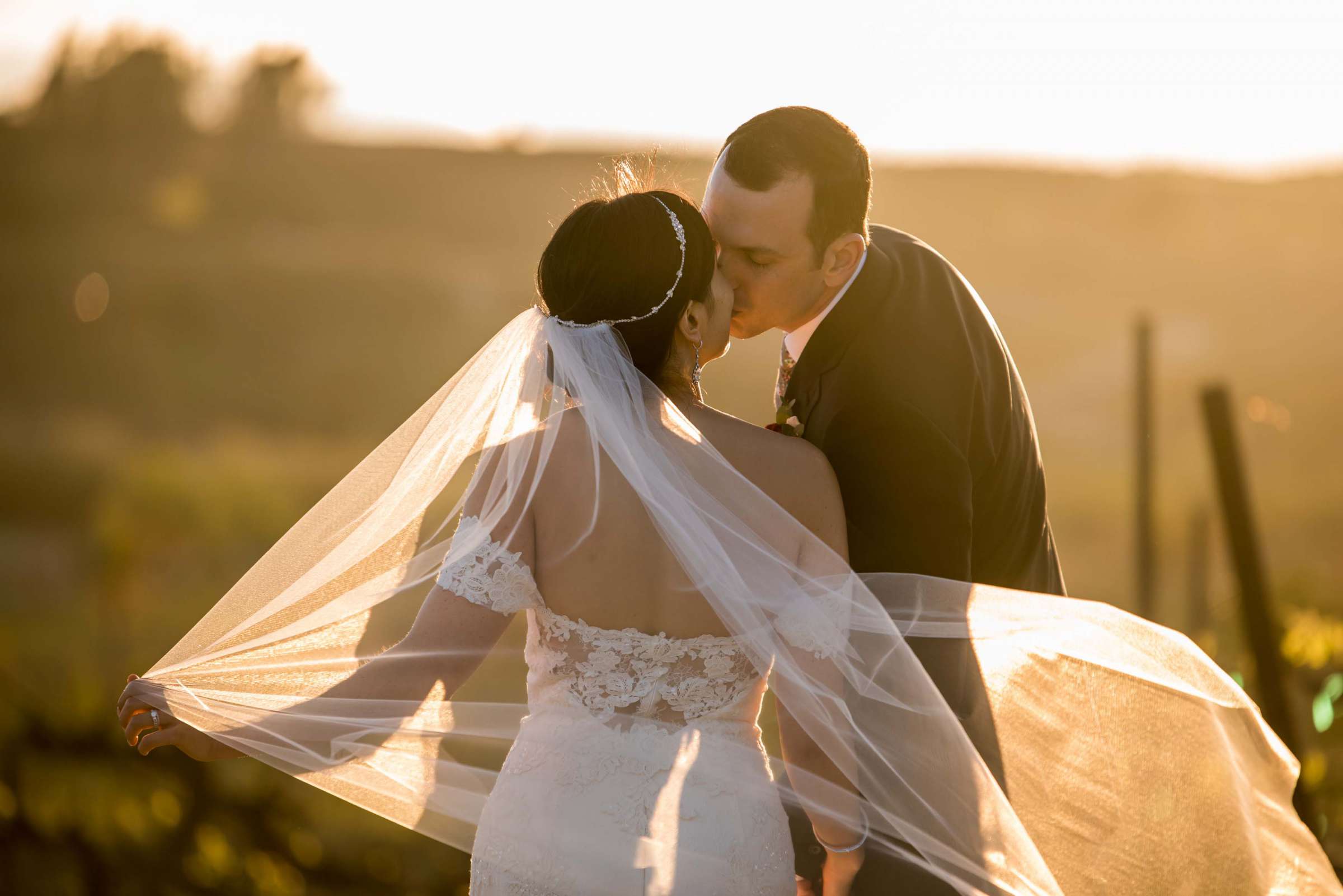 Falkner Winery Wedding, Valerie and Josh Wedding Photo #131 by True Photography