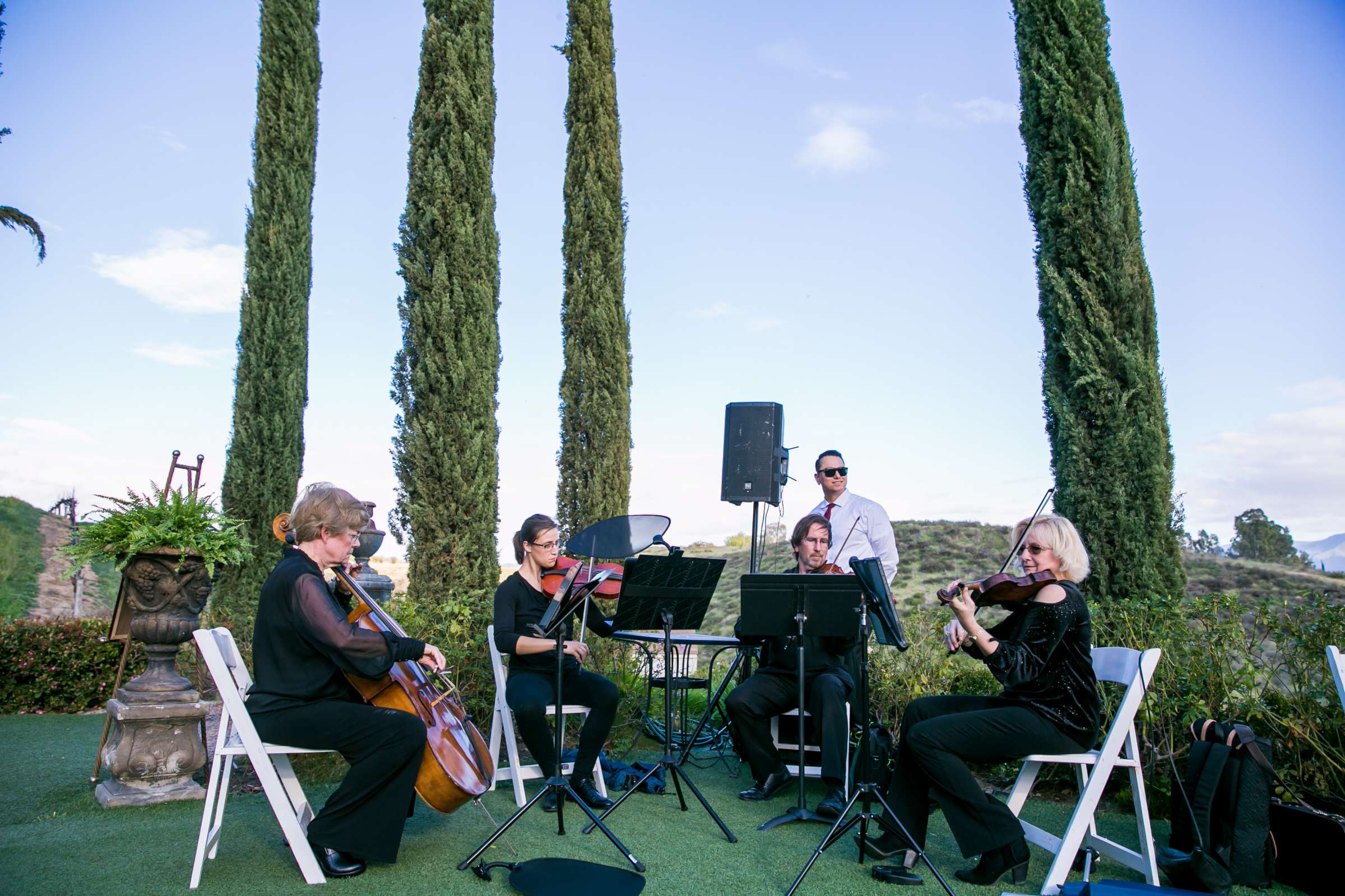 Falkner Winery Wedding, Valerie and Josh Wedding Photo #196 by True Photography