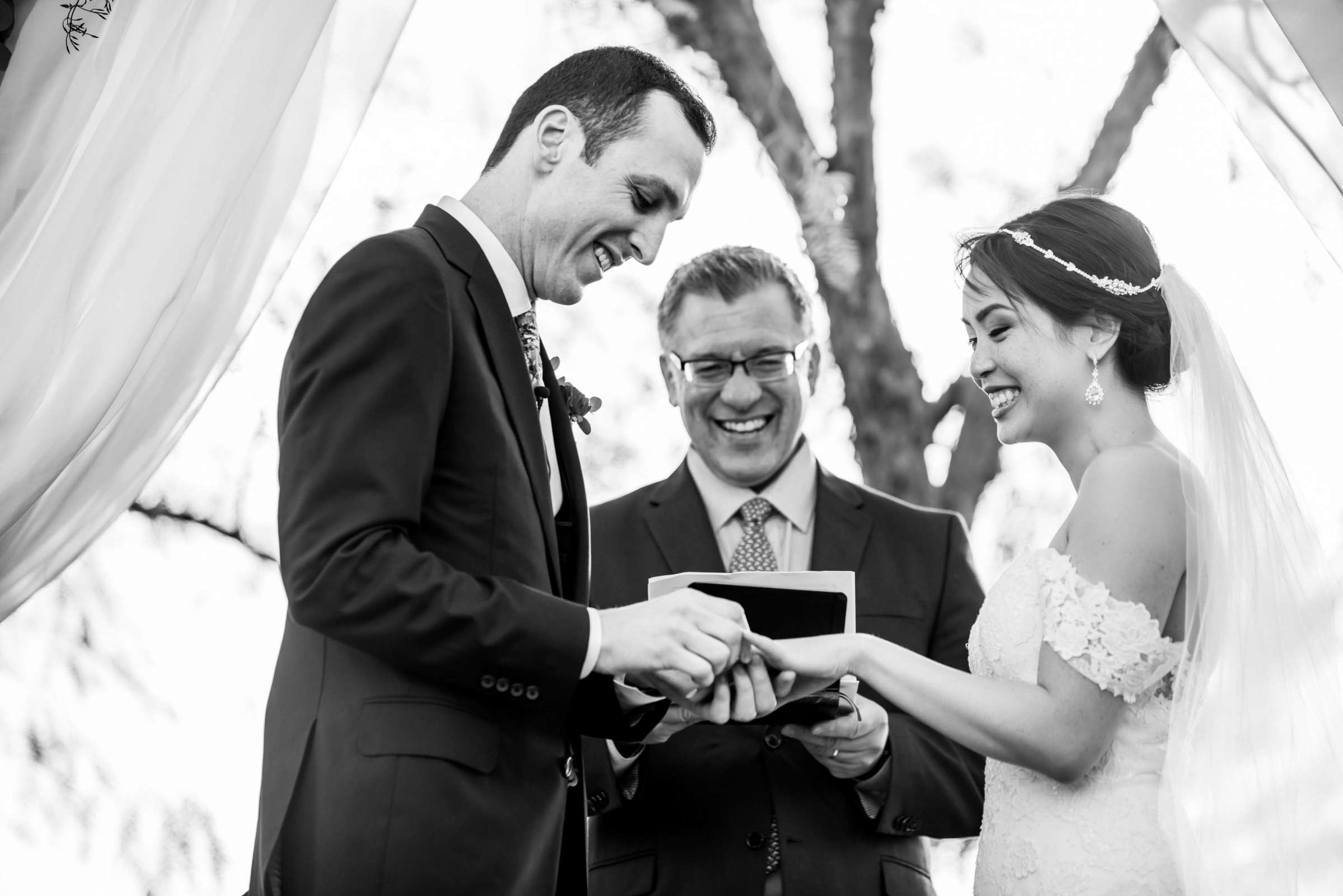 Ceremony at Falkner Winery Wedding, Valerie and Josh Wedding Photo #105 by True Photography