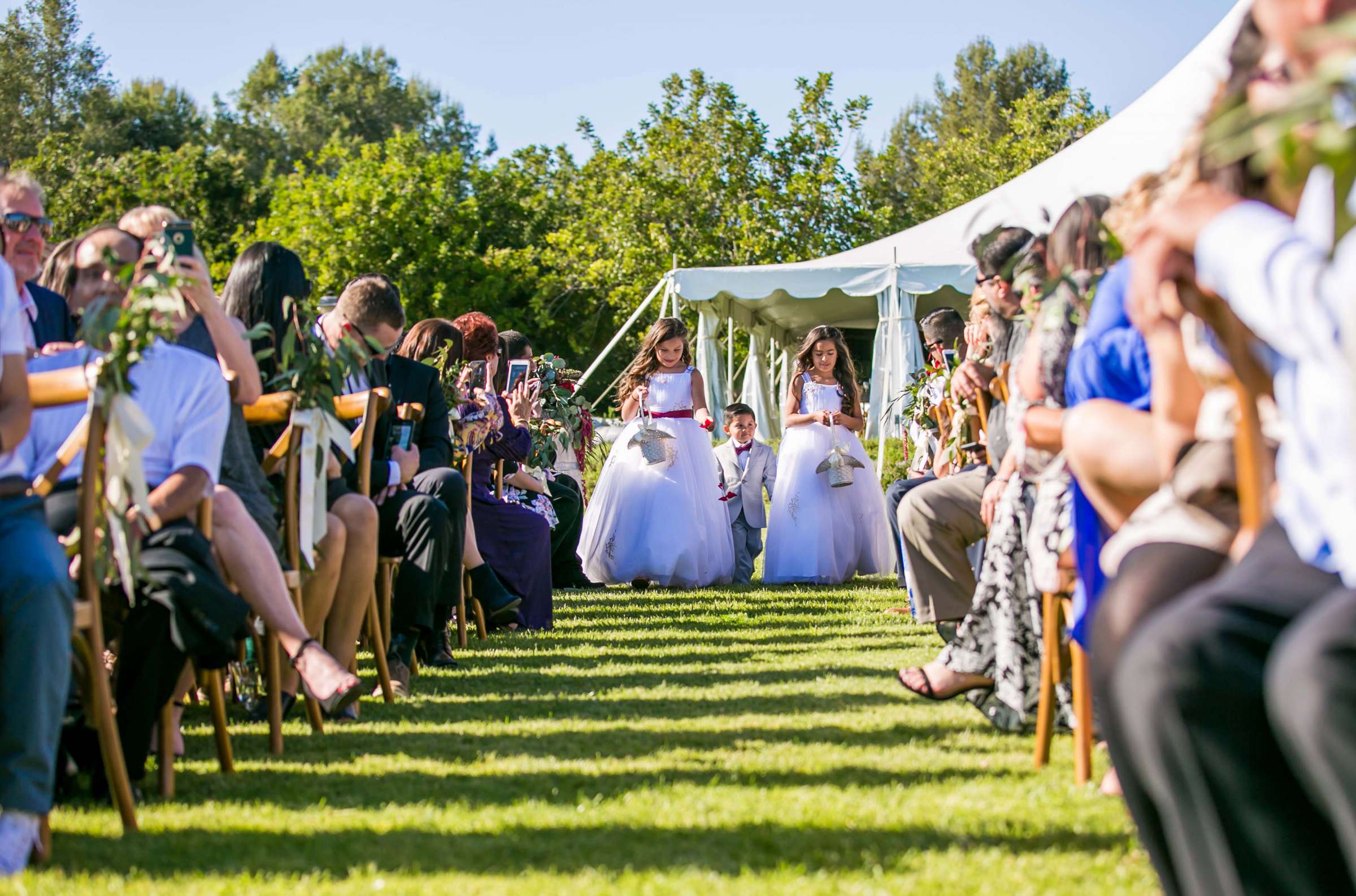 Ethereal Gardens Wedding, Victoria and Evan Wedding Photo #78 by True Photography