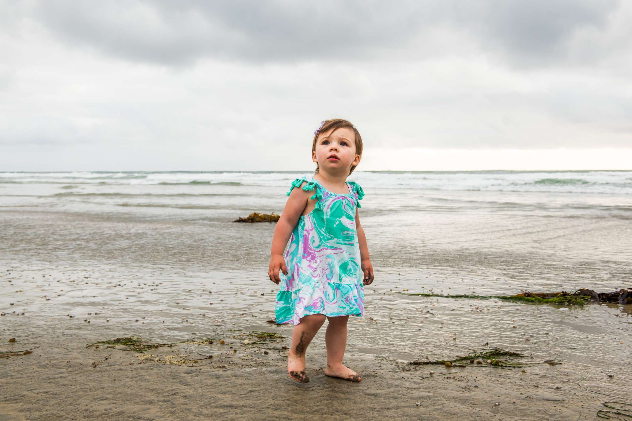 Family Portraits, Jamie Schnaars Family Photo #468370 by True Photography