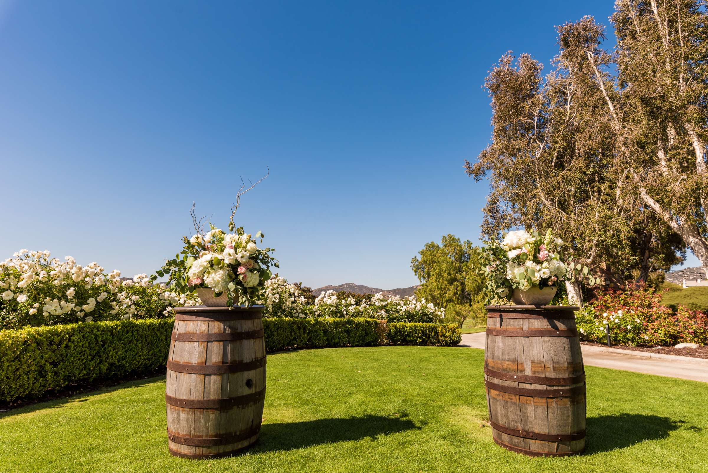 Twin Oaks Golf Course Wedding coordinated by High Tide Weddings & Events, Meghan and Jason Wedding Photo #161 by True Photography