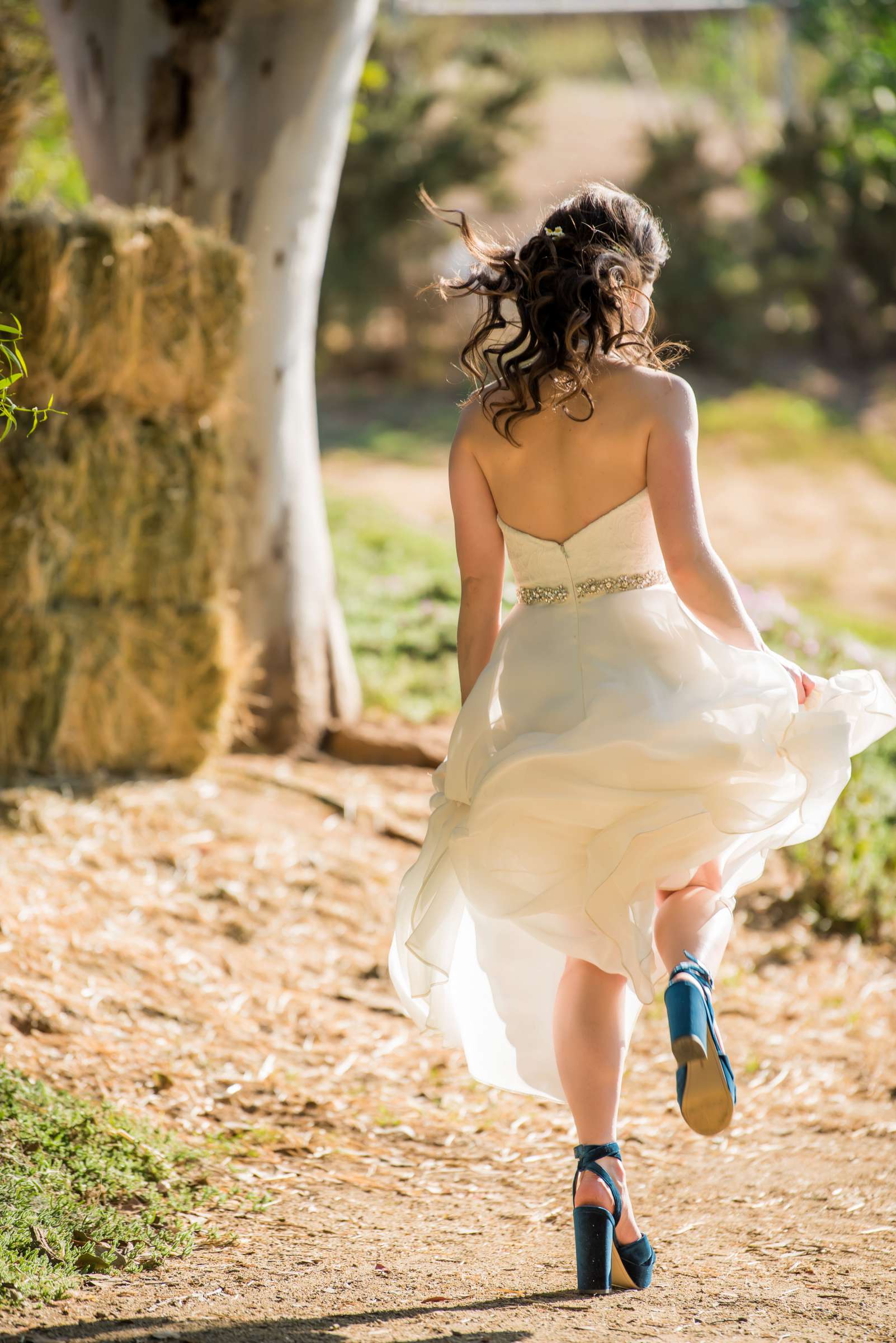 Bheau View Ranch Wedding coordinated by Classy Kay Events, Kimberly and Reuven Wedding Photo #8 by True Photography