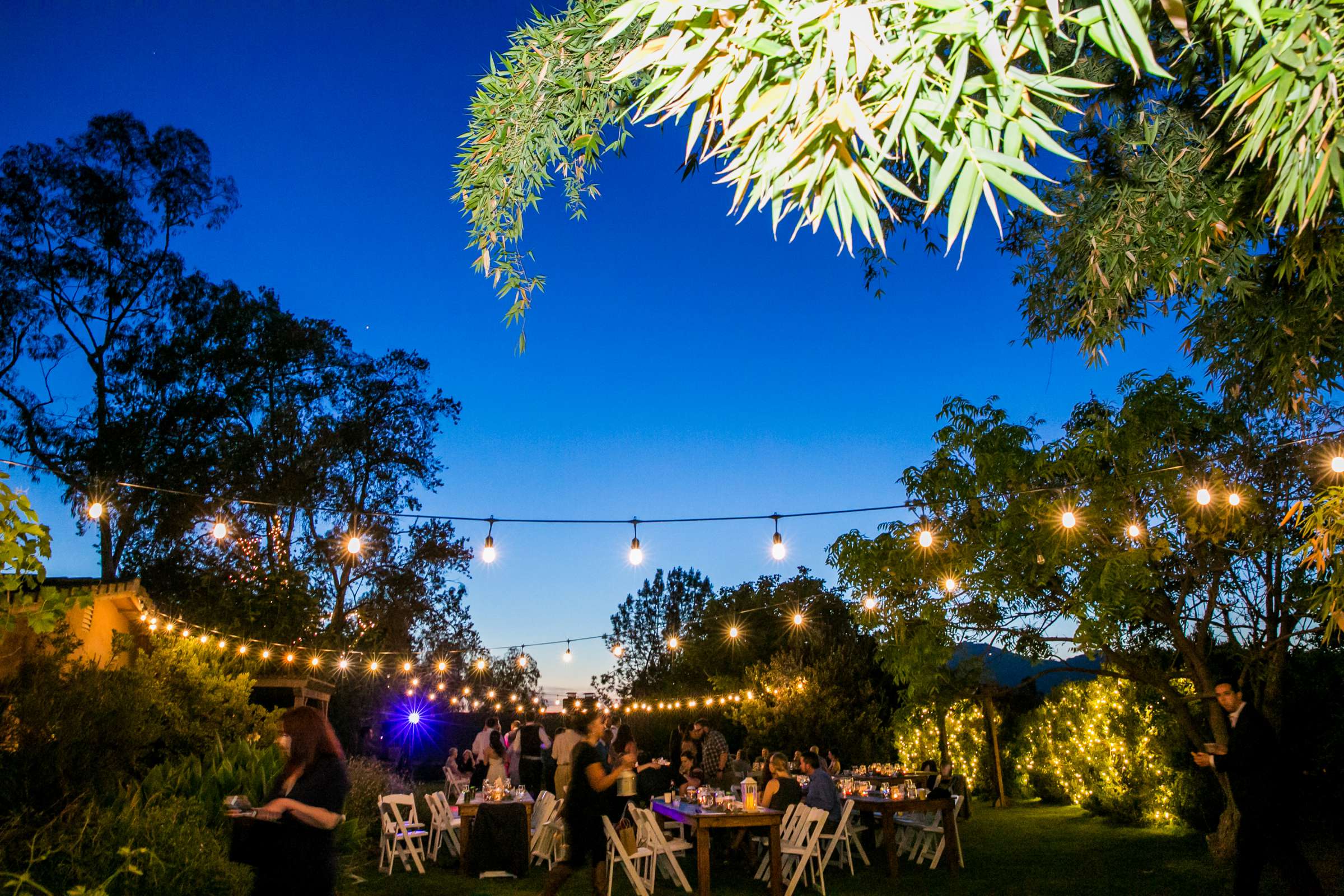 Bheau View Ranch Wedding coordinated by Classy Kay Events, Kimberly and Reuven Wedding Photo #171 by True Photography