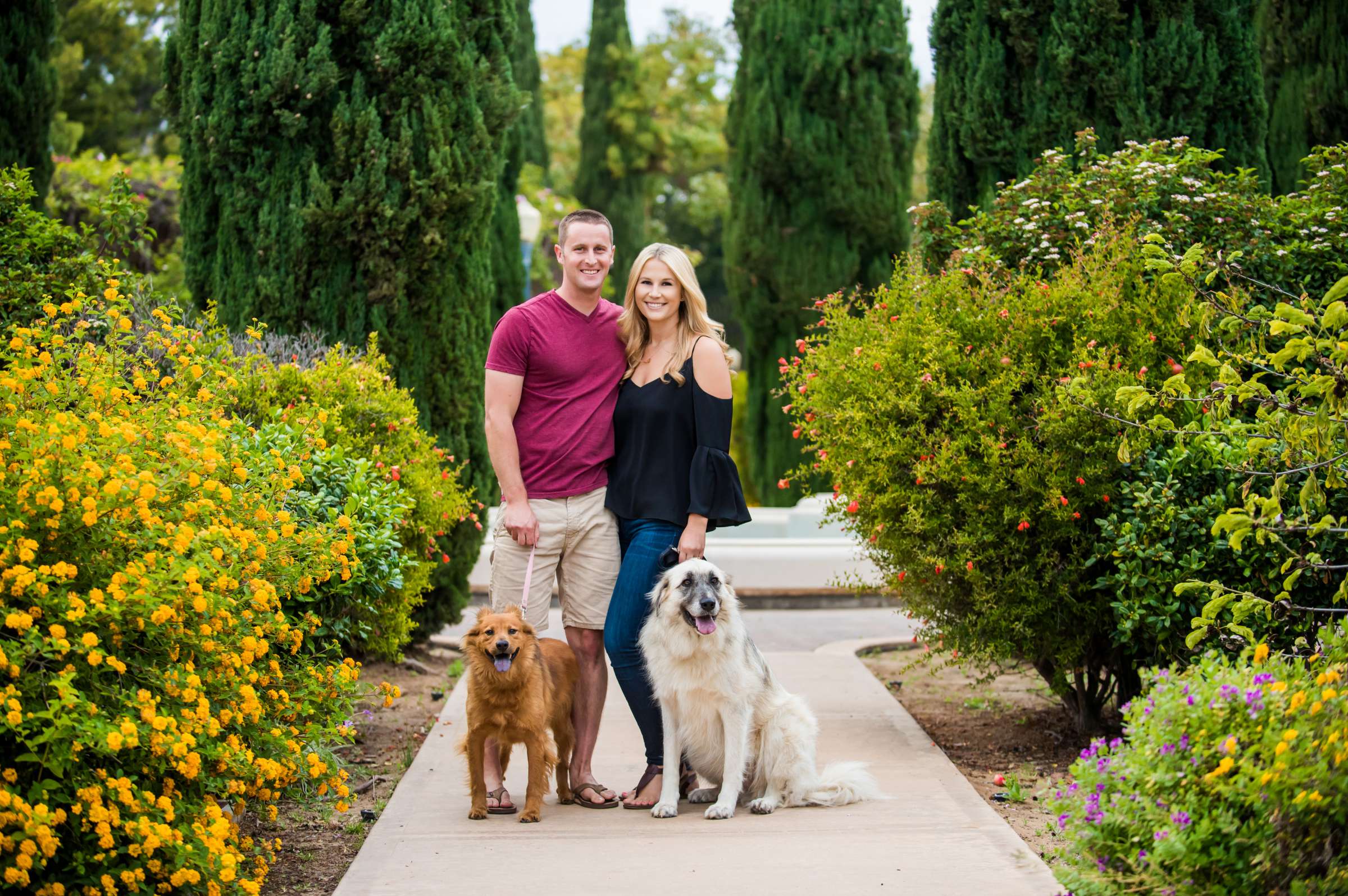 Engagement, Emily and Ben Engagement Photo #21 by True Photography