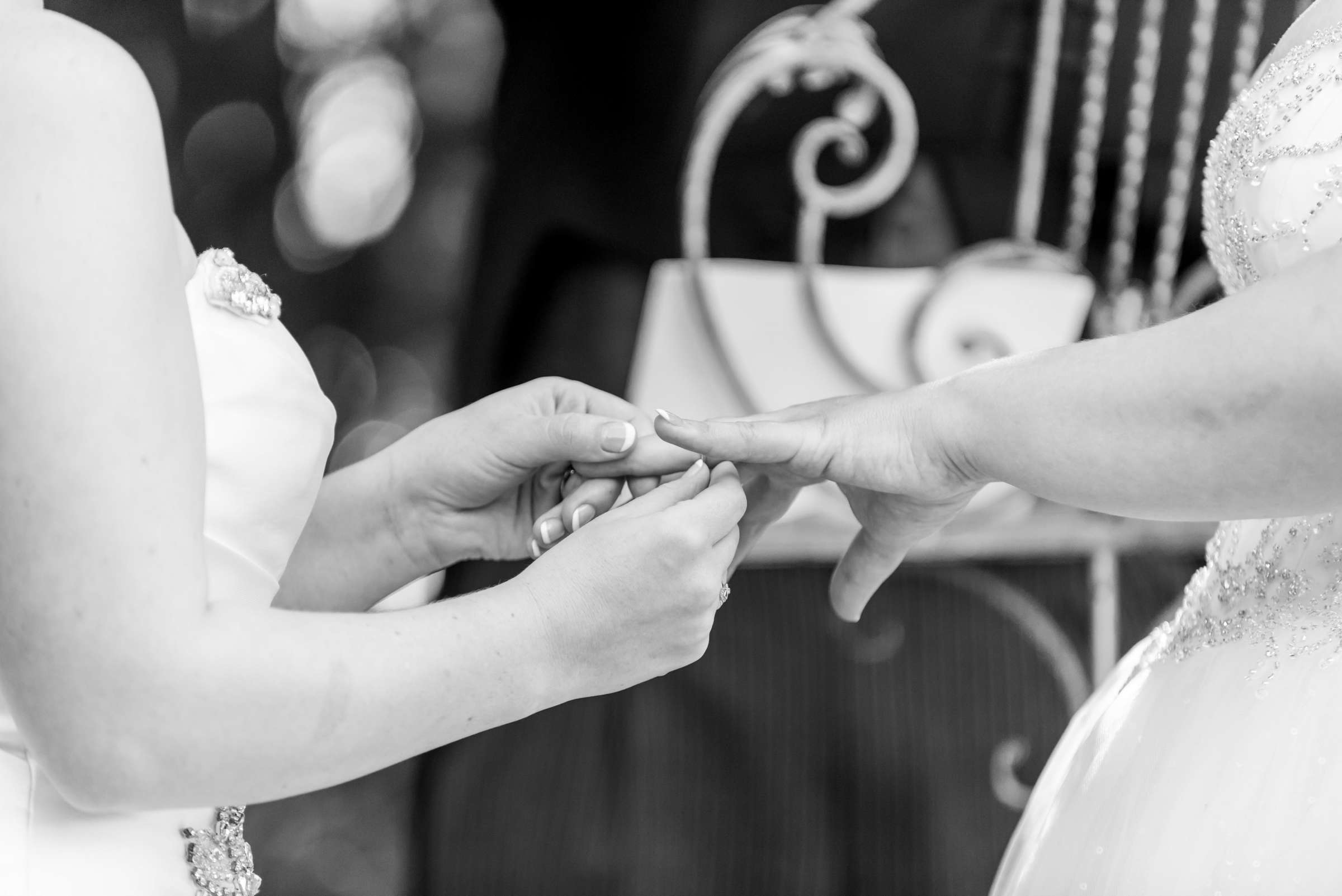 Twin Oaks House & Gardens Wedding Estate Wedding, Rashelle and Ashley Wedding Photo #53 by True Photography