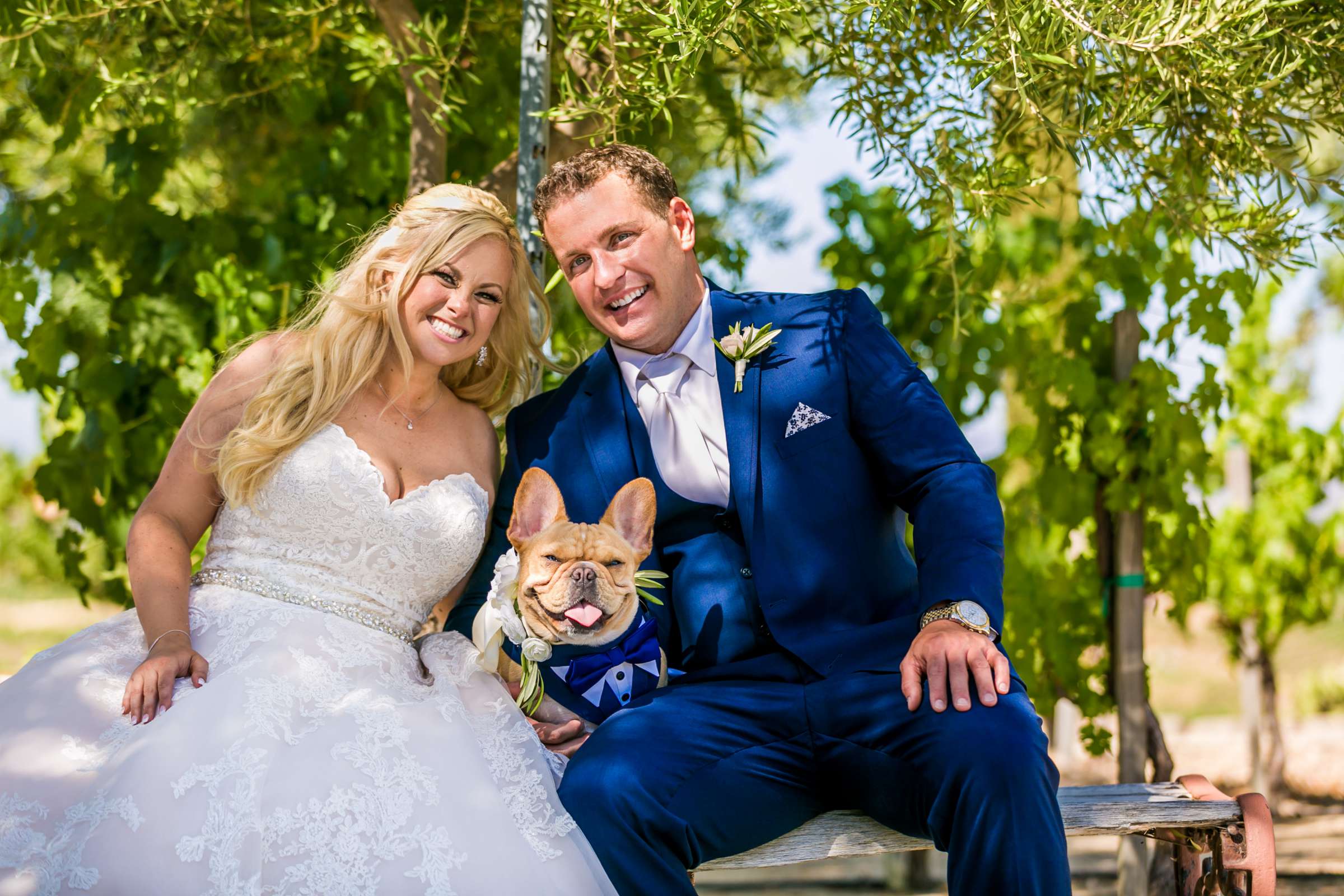 Mount Palomar Winery Wedding, Meg and Eric Wedding Photo #477508 by True Photography