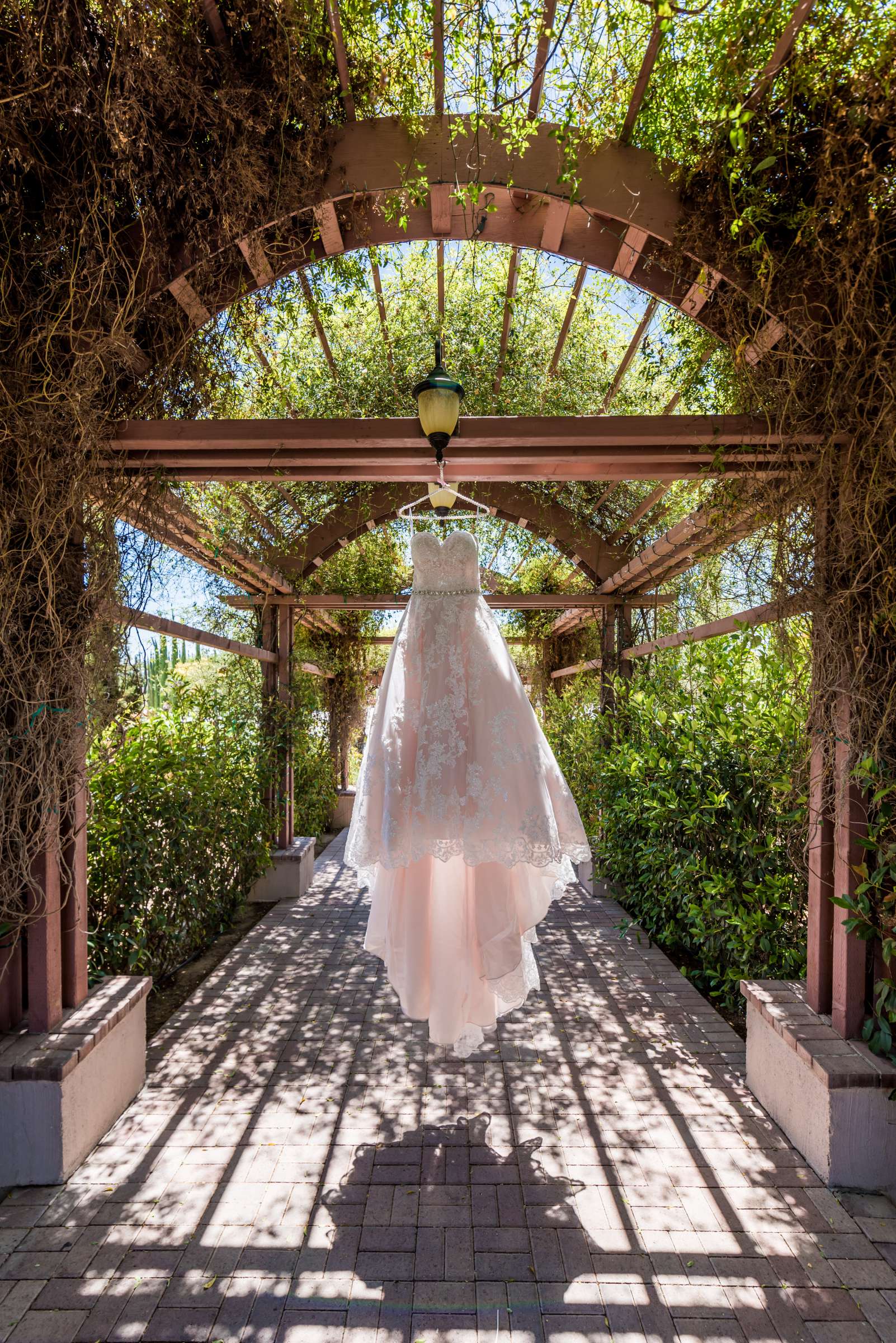 Mount Palomar Winery Wedding, Meg and Eric Wedding Photo #477580 by True Photography