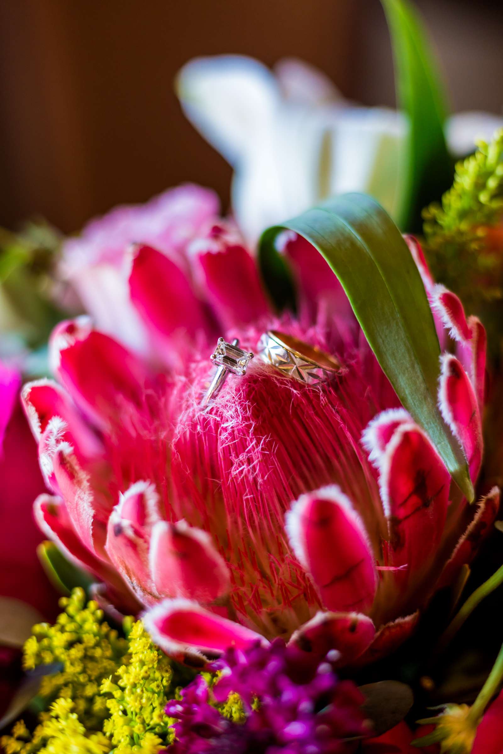 Rancho Bernardo Inn Wedding, Jennifer and Brett Wedding Photo #478282 by True Photography