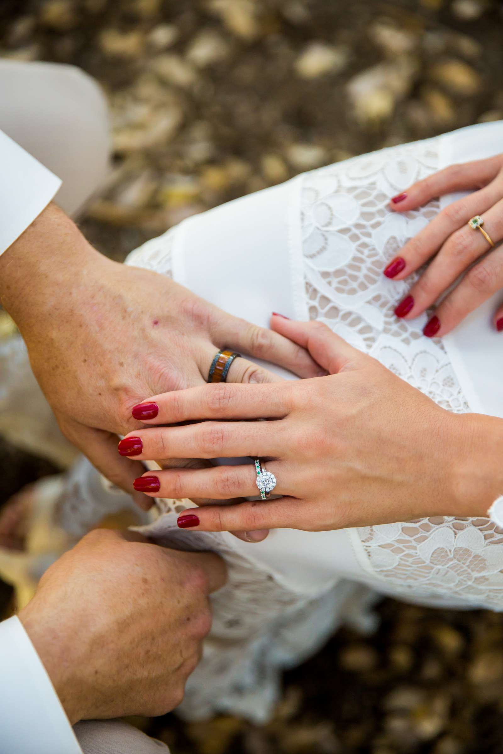 Wedding, Jacqueline and Justin Wedding Photo #21 by True Photography