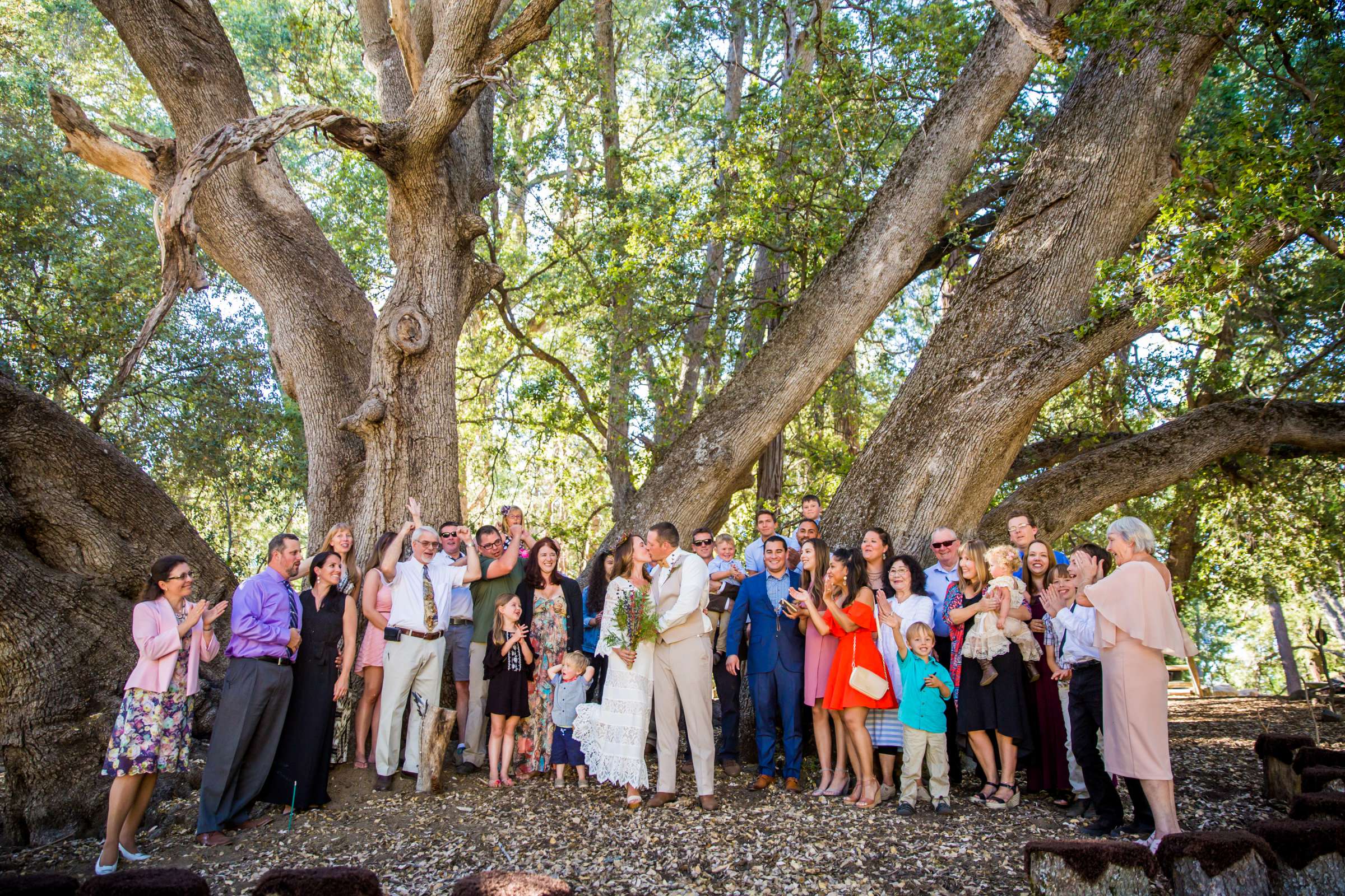 Wedding, Jacqueline and Justin Wedding Photo #38 by True Photography