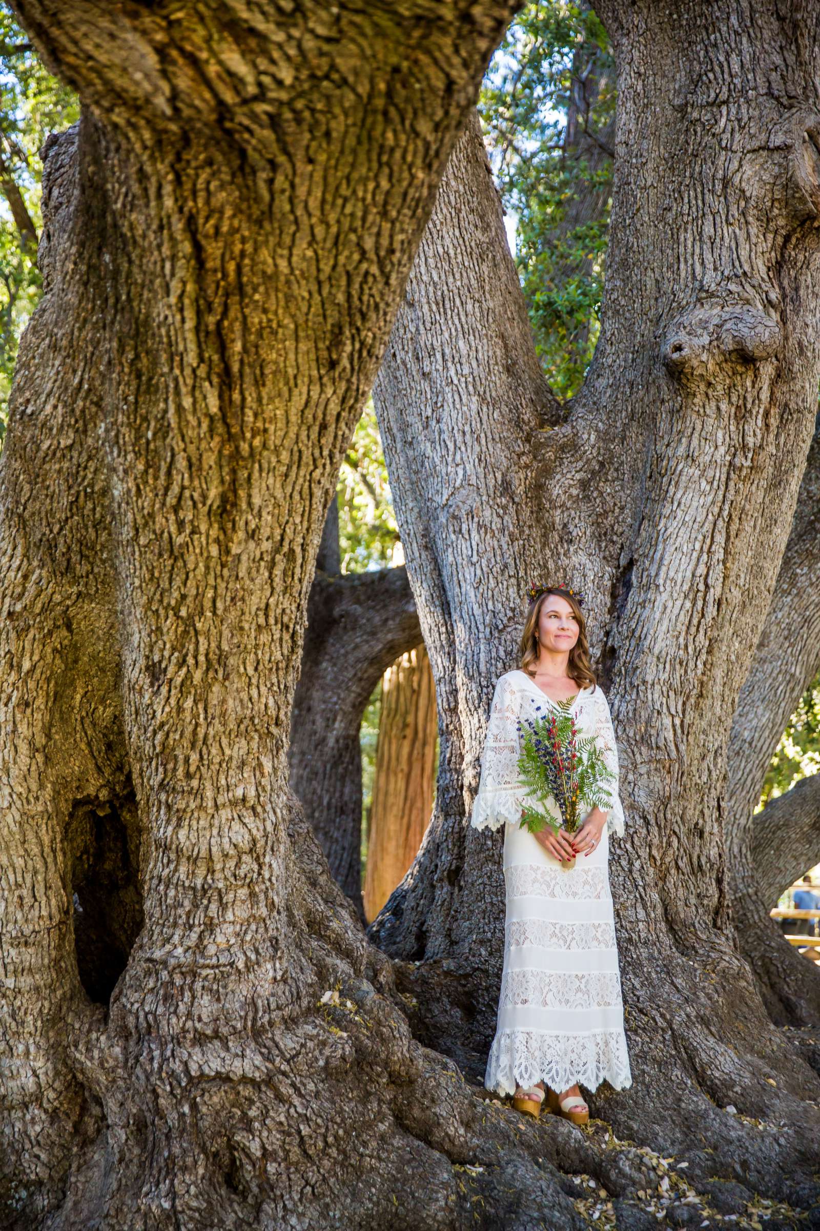 Wedding, Jacqueline and Justin Wedding Photo #55 by True Photography