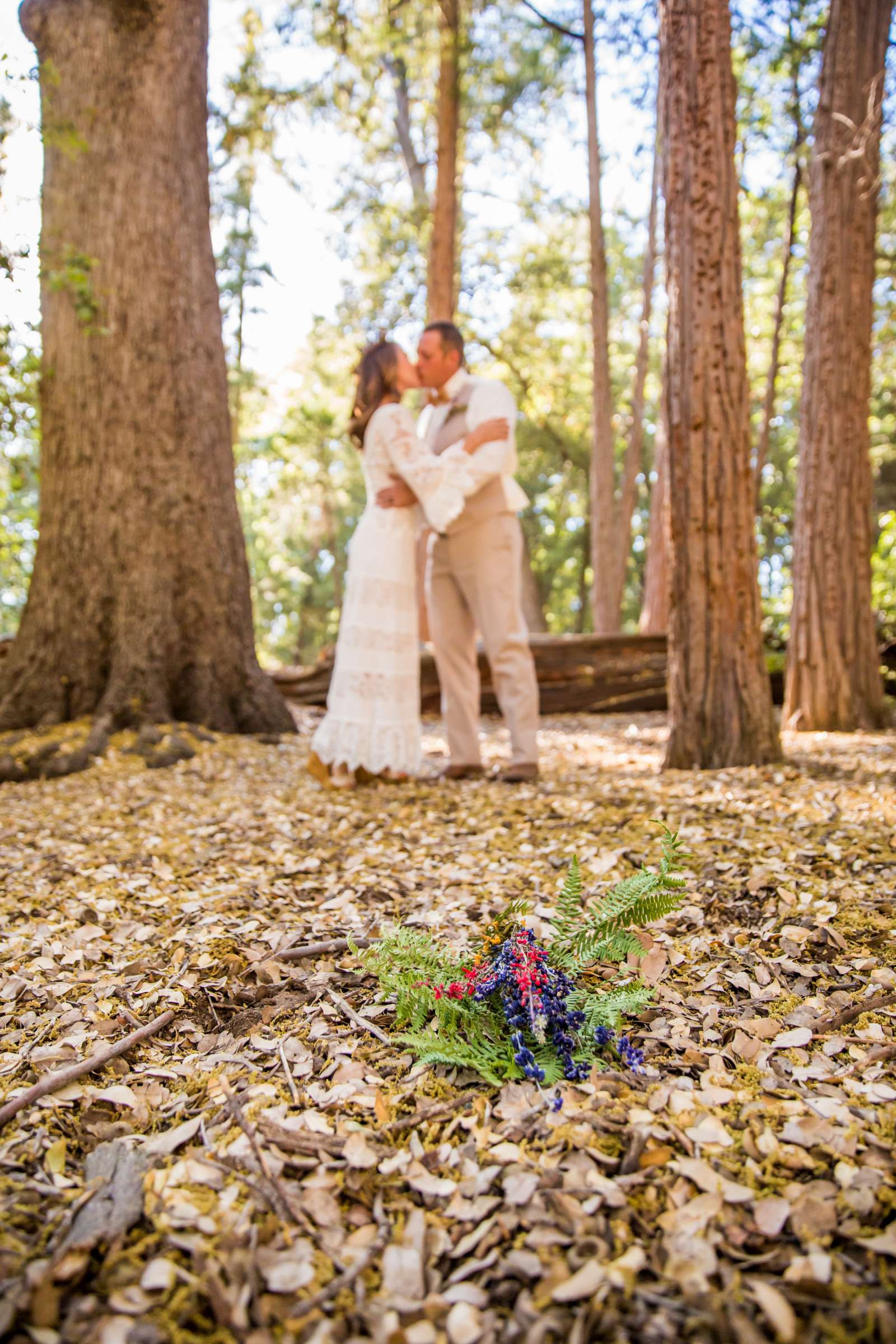 Wedding, Jacqueline and Justin Wedding Photo #69 by True Photography