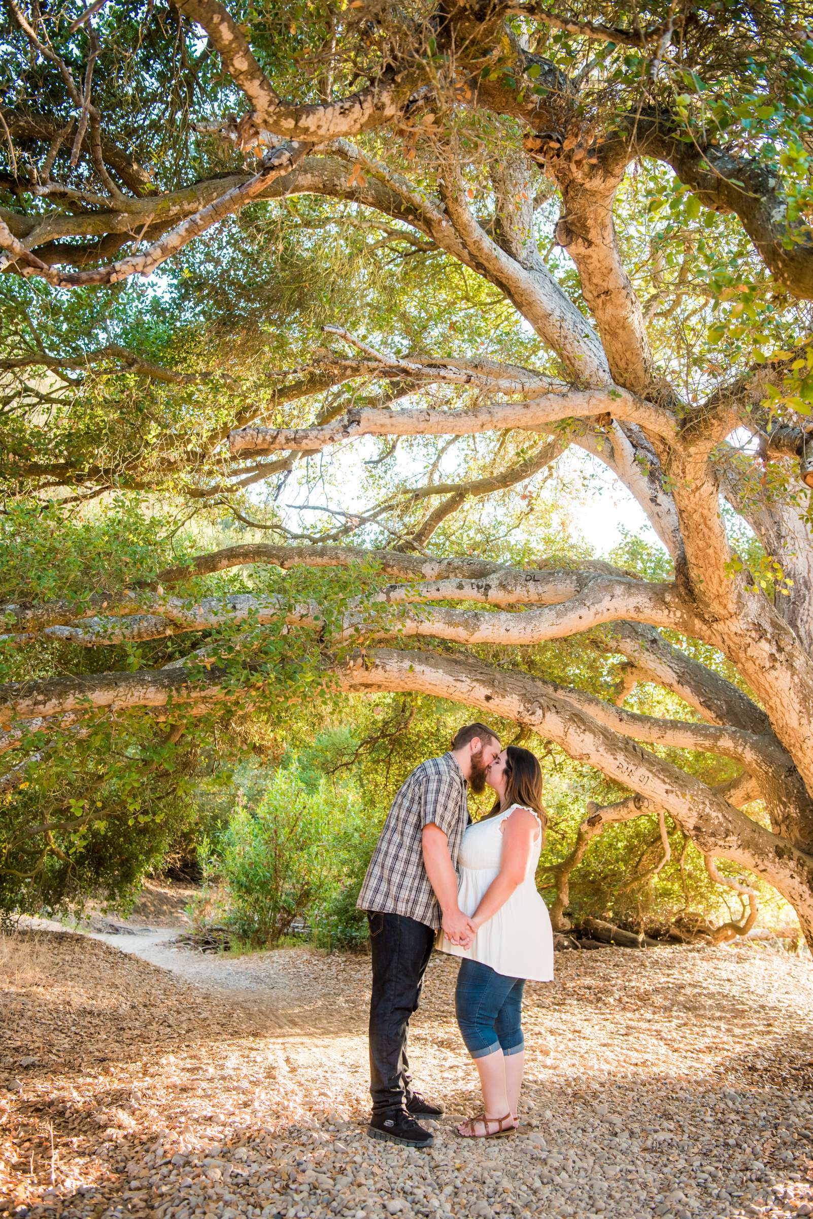 Engagement, Emilie and Curtis Engagement Photo #15 by True Photography