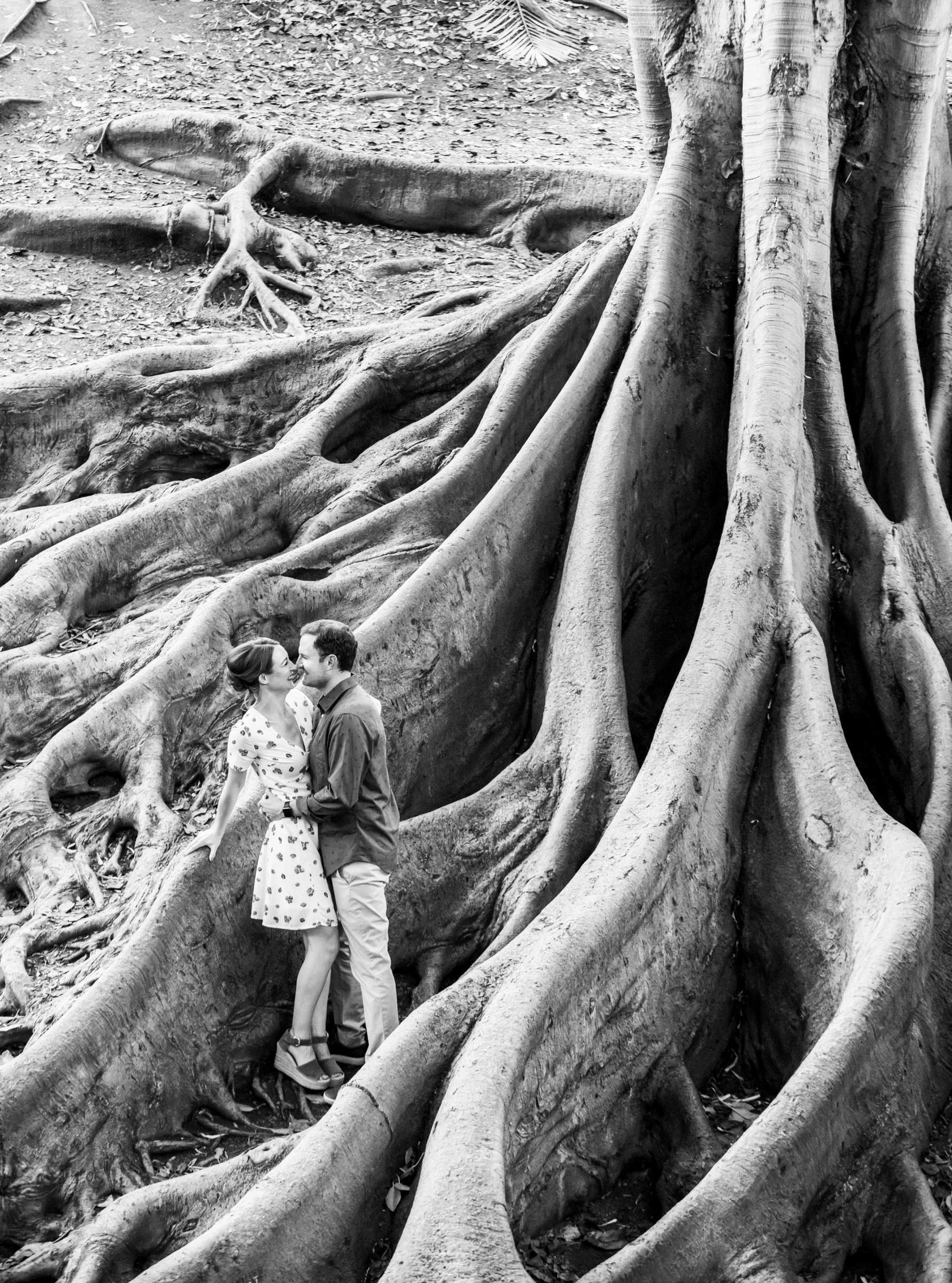 Engagement, Amanda and Brian Engagement Photo #483238 by True Photography