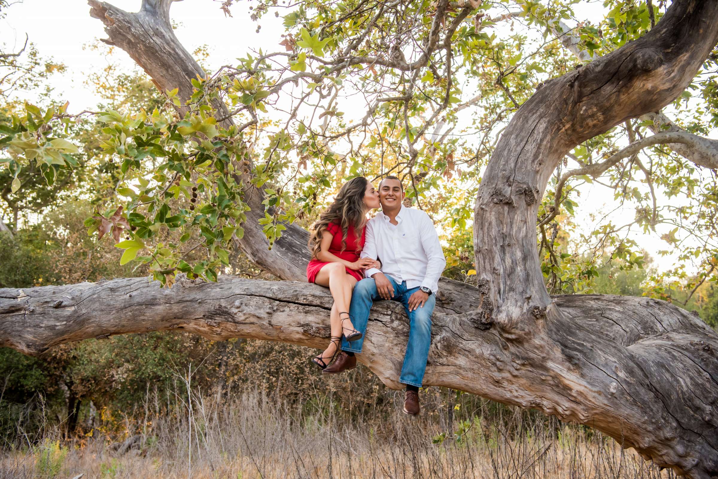 Engagement, Jessica and Ricardo Engagement Photo #1 by True Photography