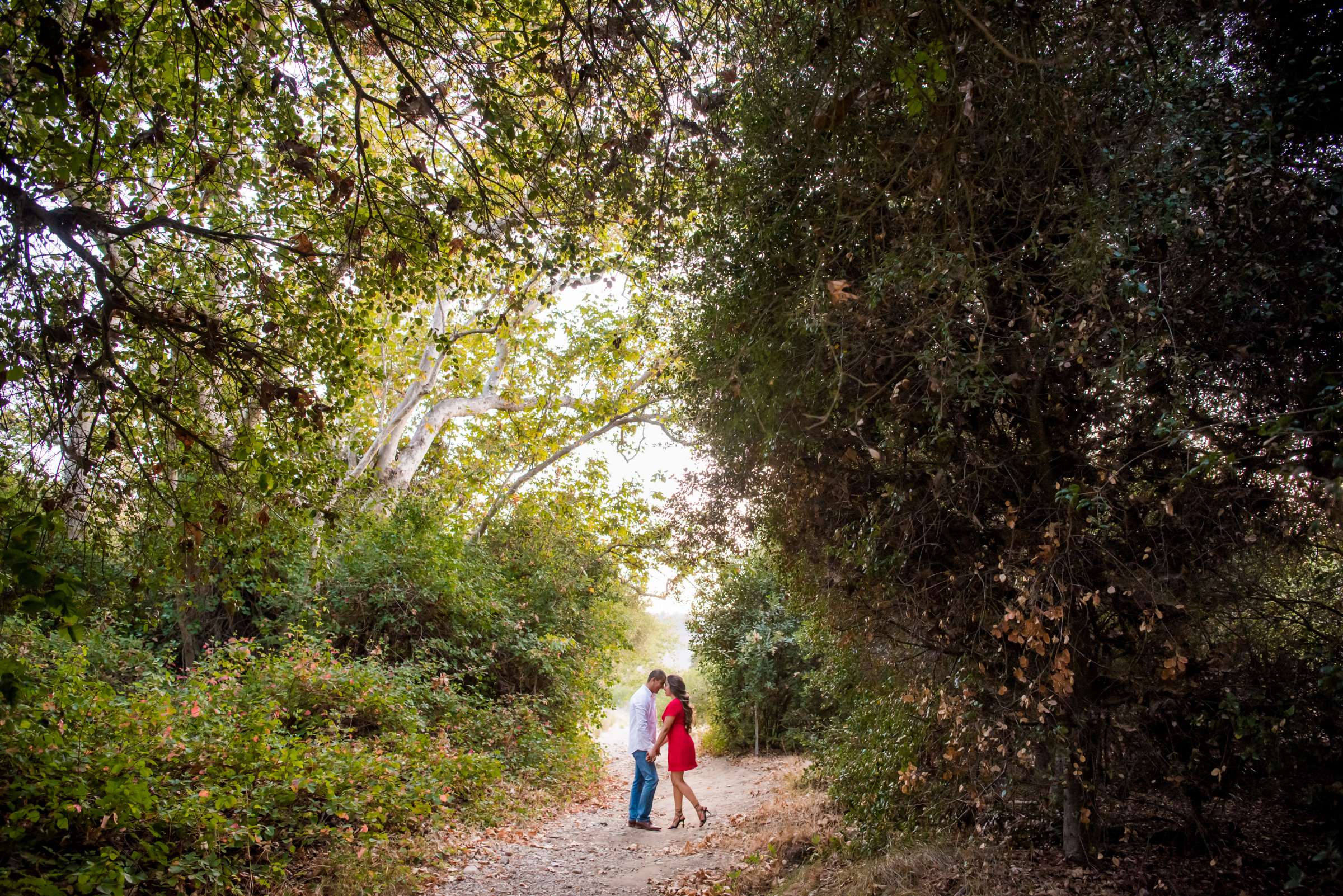 Engagement, Jessica and Ricardo Engagement Photo #3 by True Photography