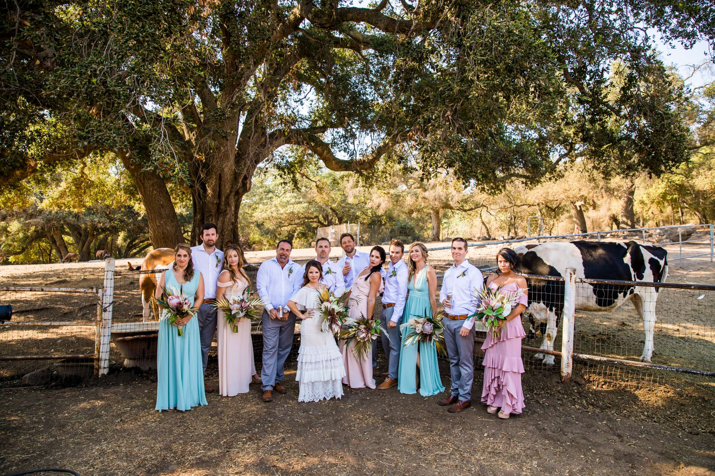 Condors Nest Ranch Wedding, Nicole and Mark Wedding Photo #488721 by True Photography