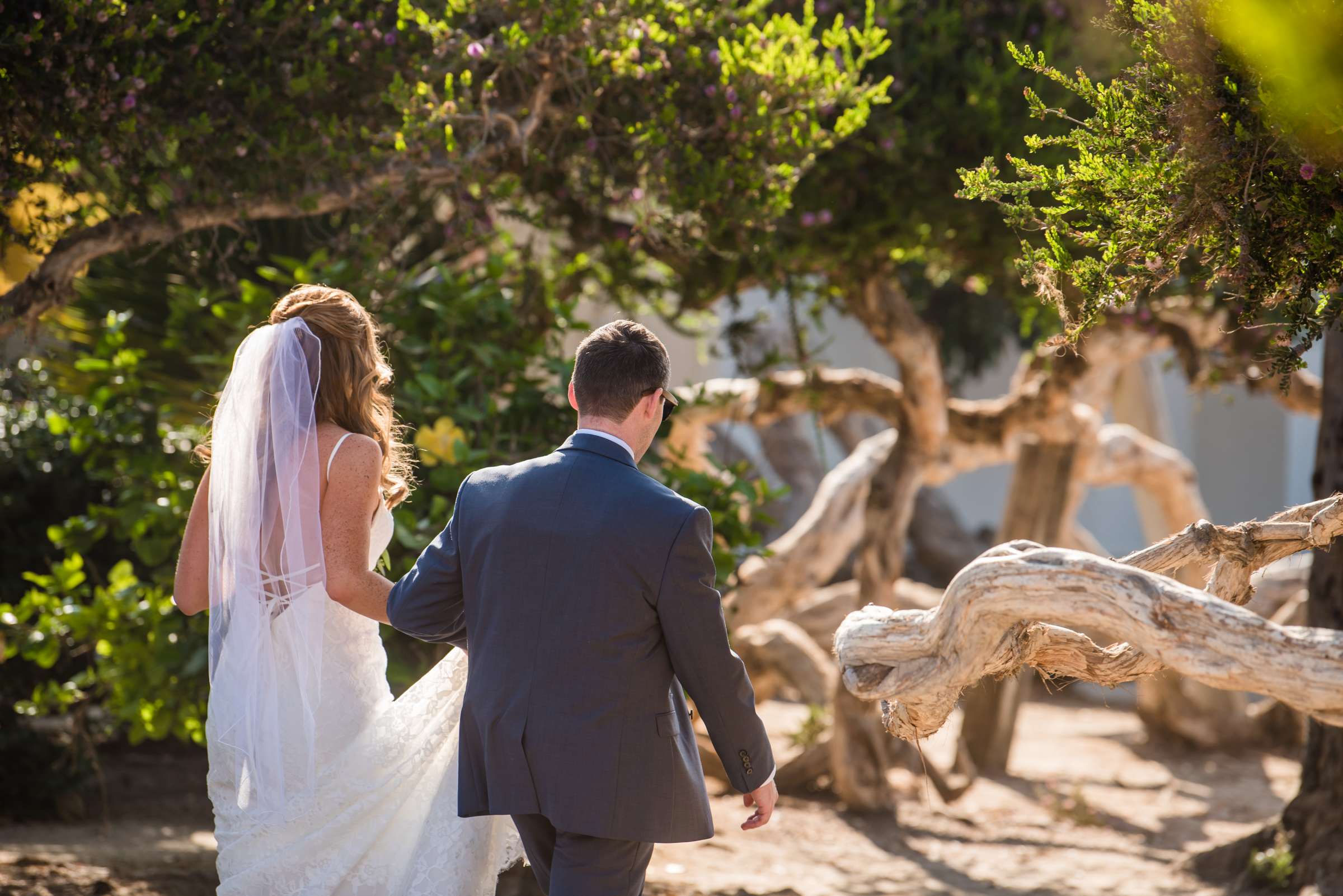 La Jolla Cove Rooftop Wedding, Carly and Jonathan Wedding Photo #18 by True Photography