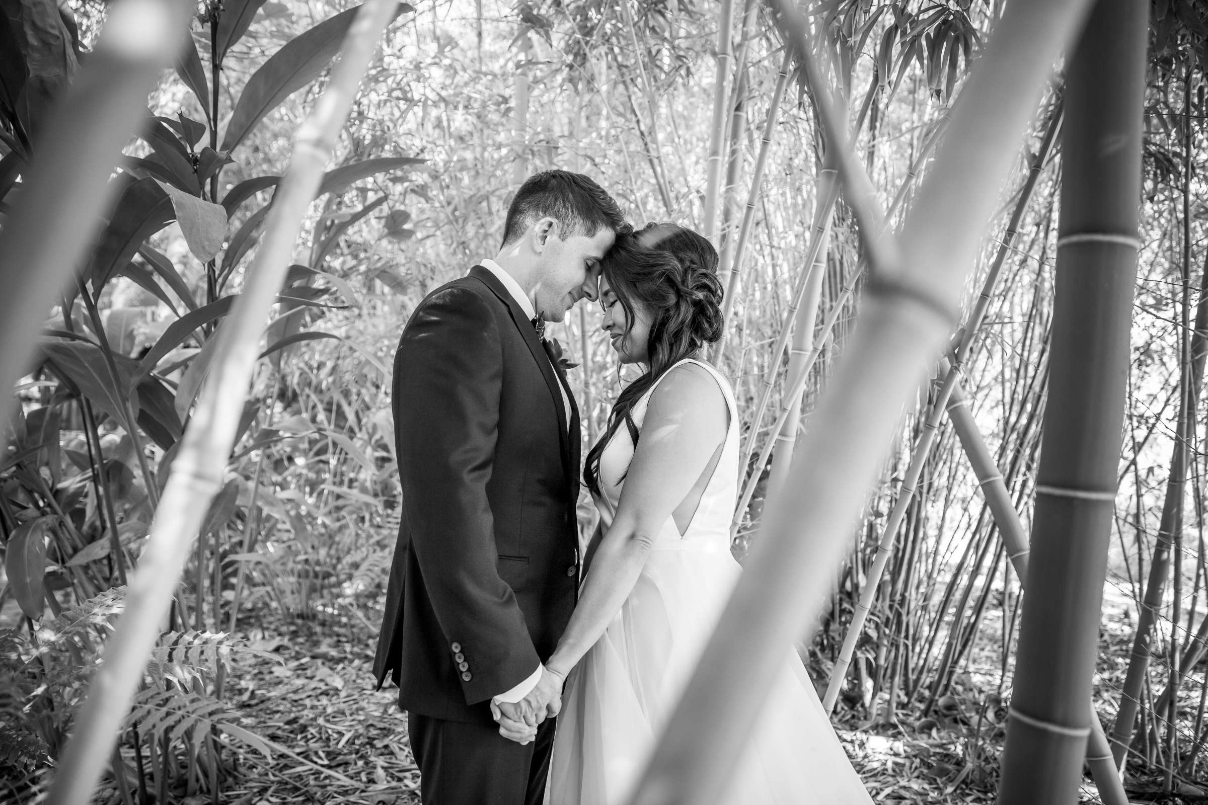 Safari Park Wedding, Evangelina and Ross Wedding Photo #76 by True Photography