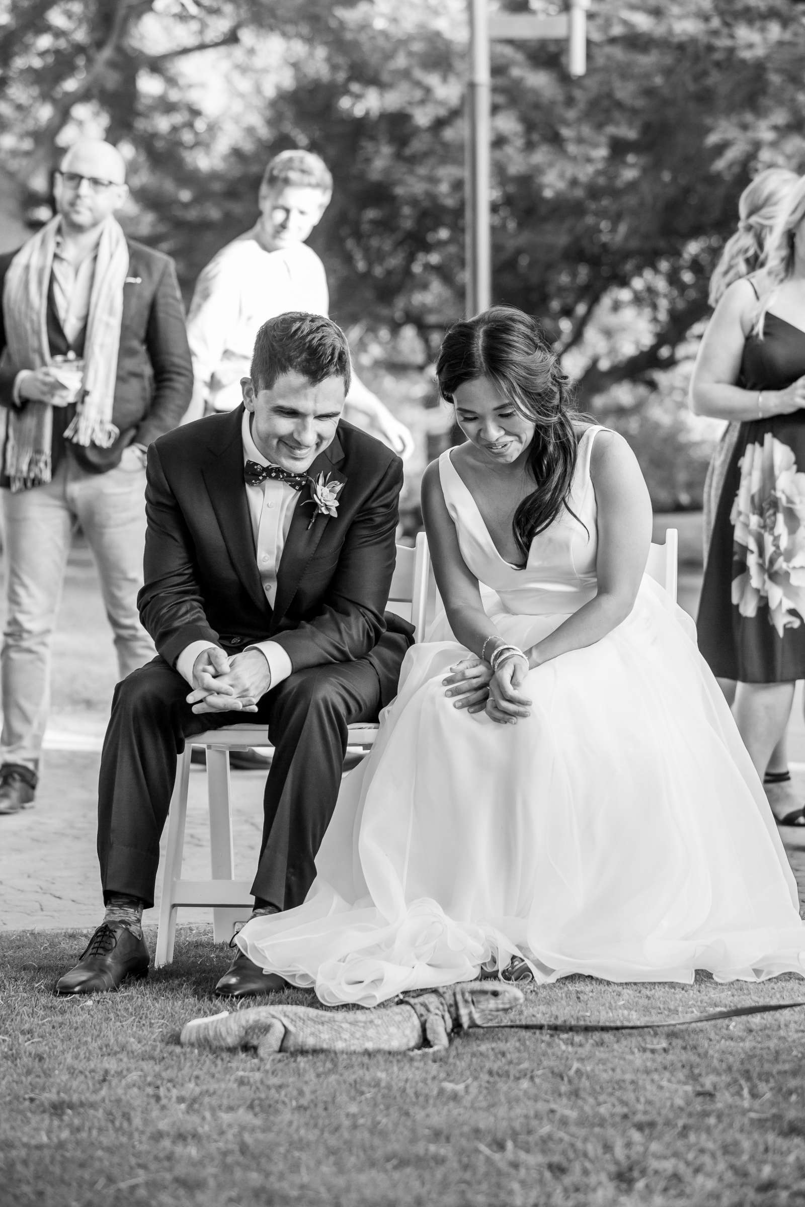 Safari Park Wedding, Evangelina and Ross Wedding Photo #99 by True Photography