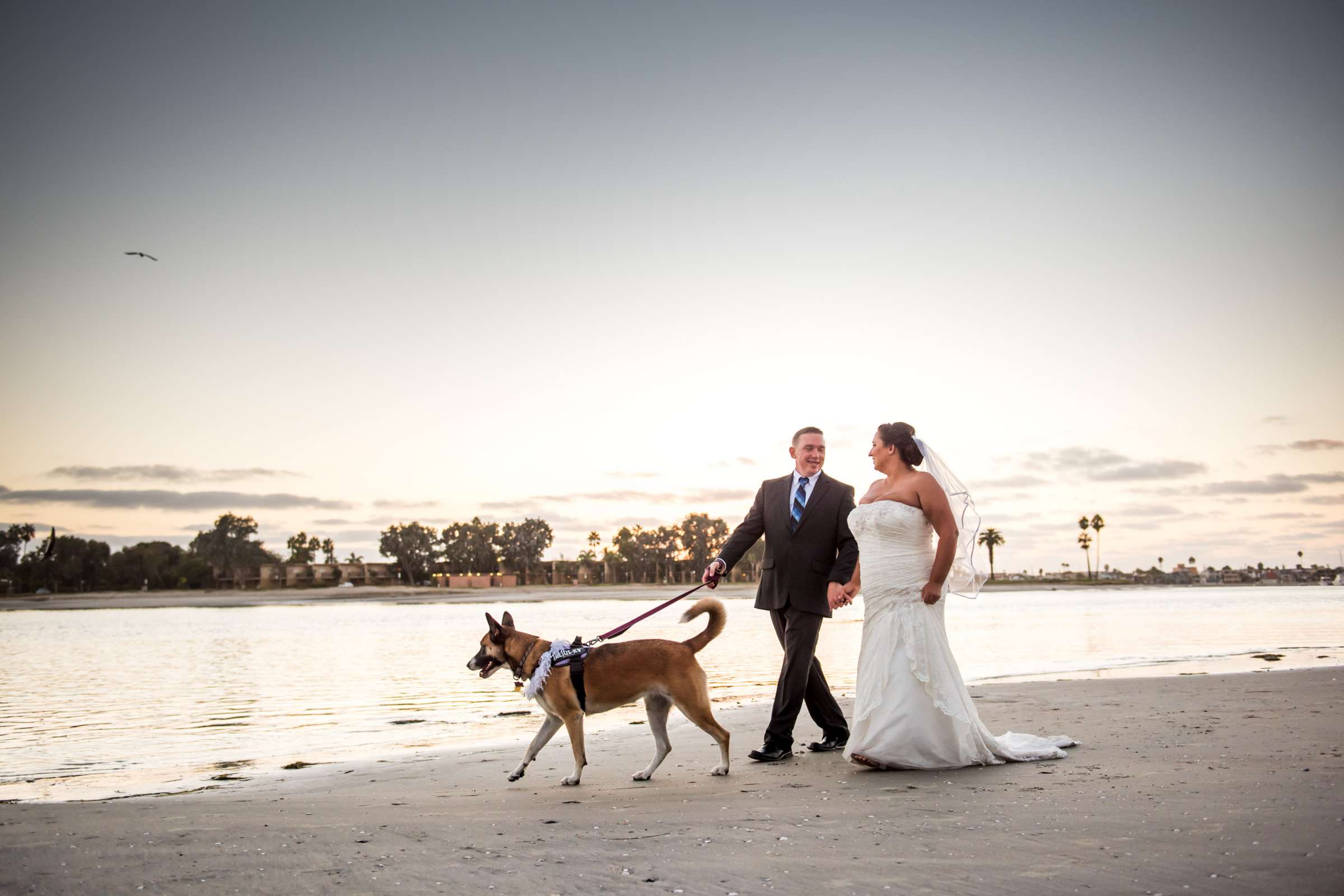 Engagement, Nova and Barto Engagement Photo #504239 by True Photography