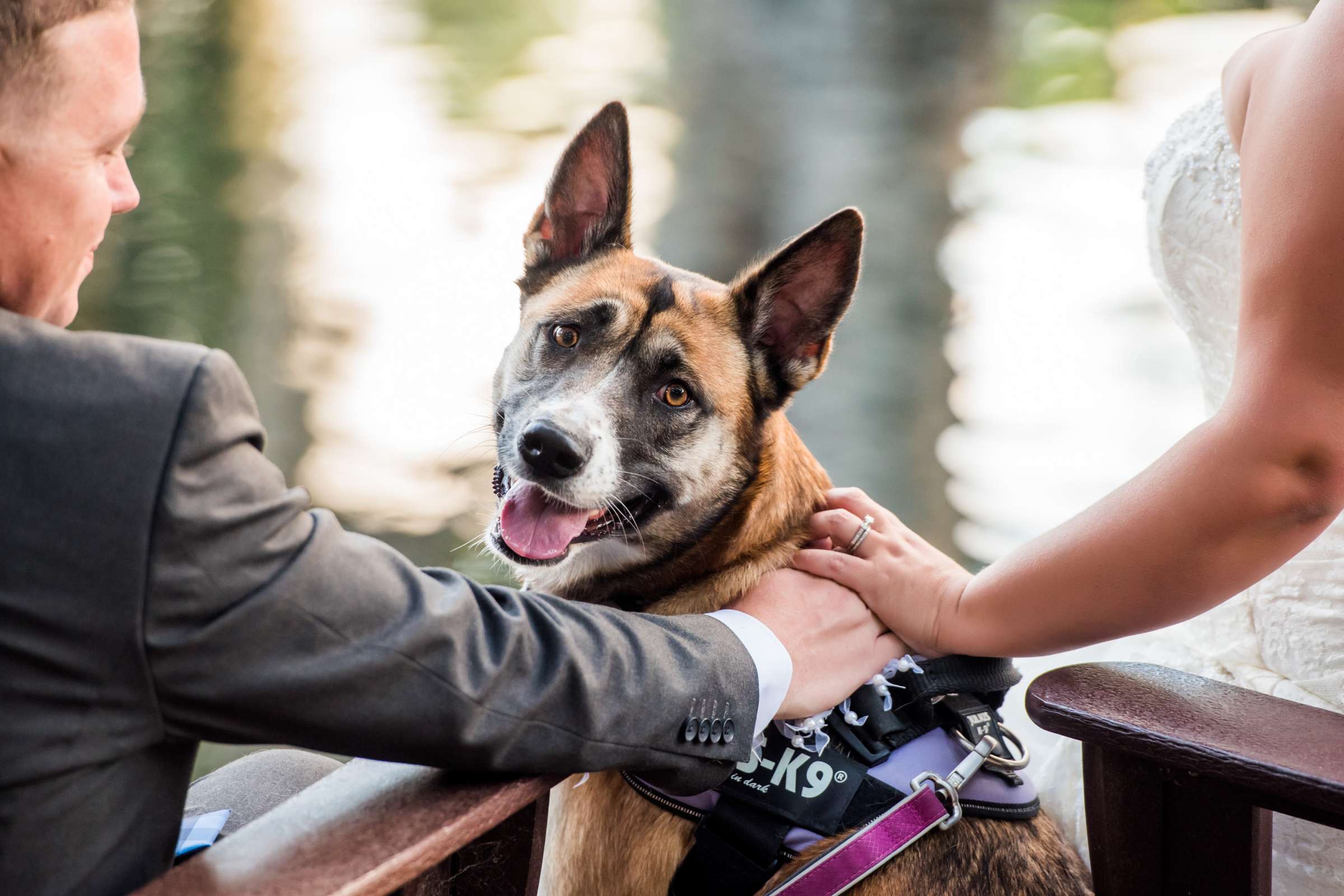 Engagement, Nova and Barto Engagement Photo #504253 by True Photography