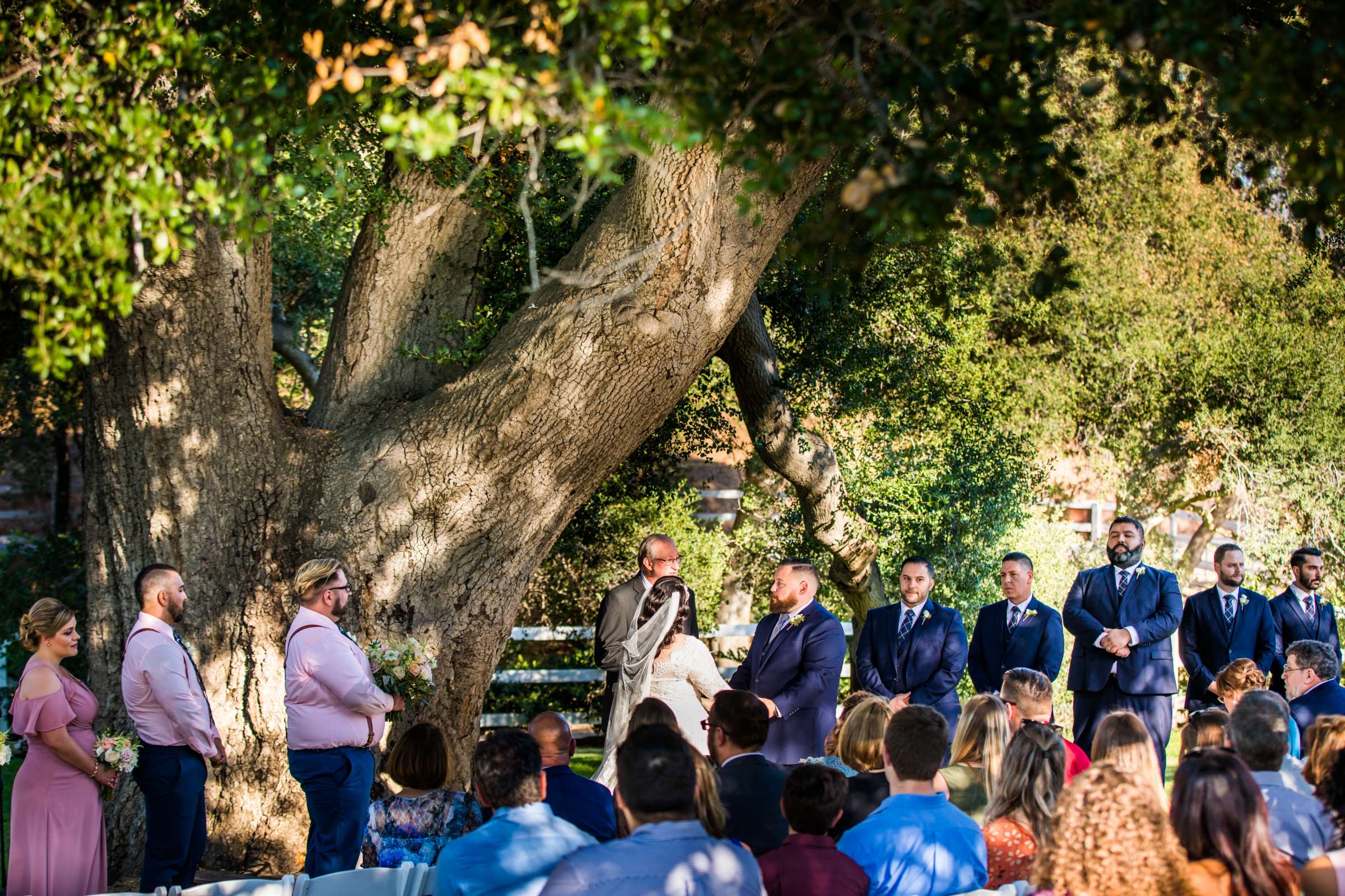 Circle Oak Ranch Weddings Wedding, Kelly and Will Wedding Photo #60 by True Photography