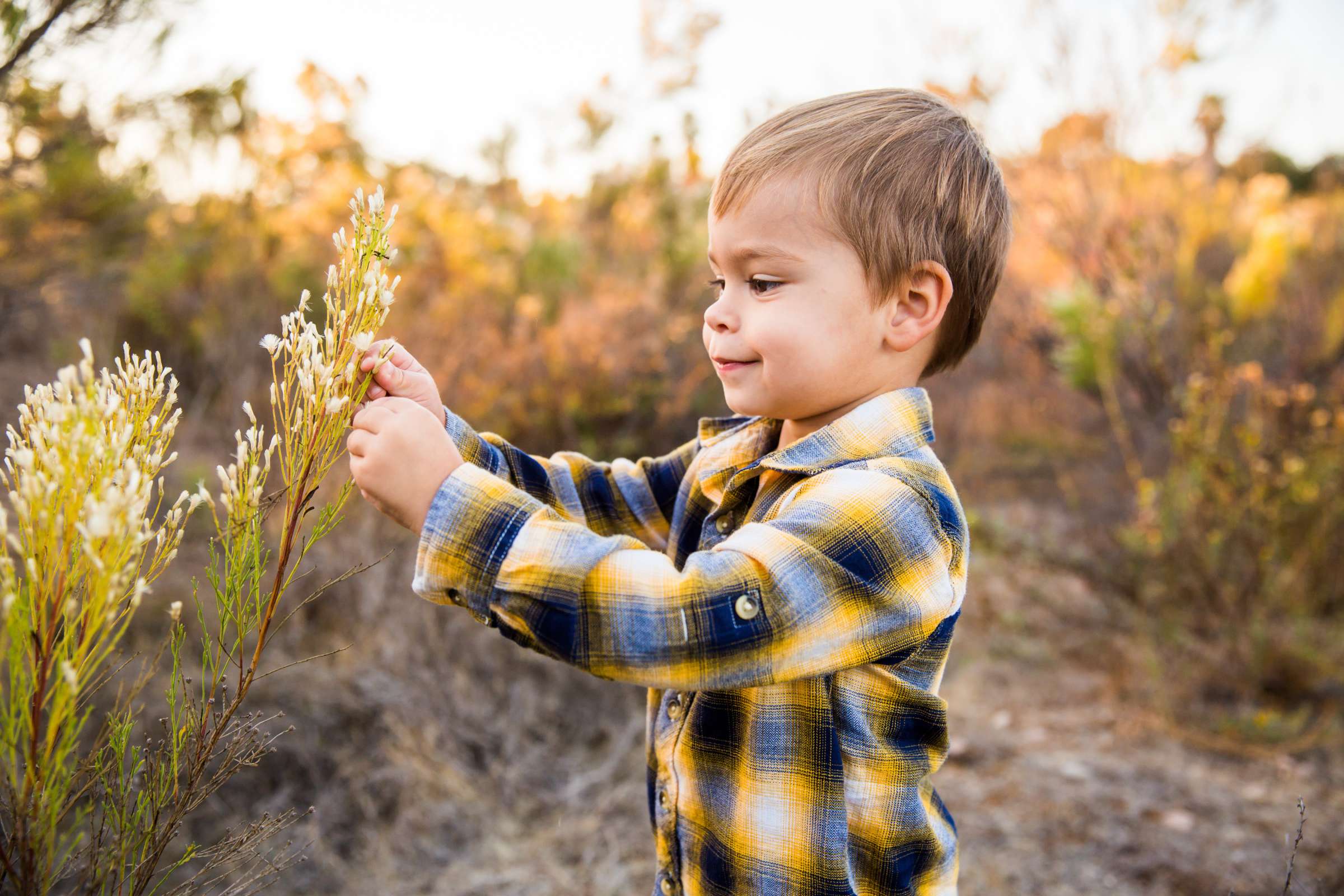 Family Portraits, Brooke Monetta Family Photo #6 by True Photography