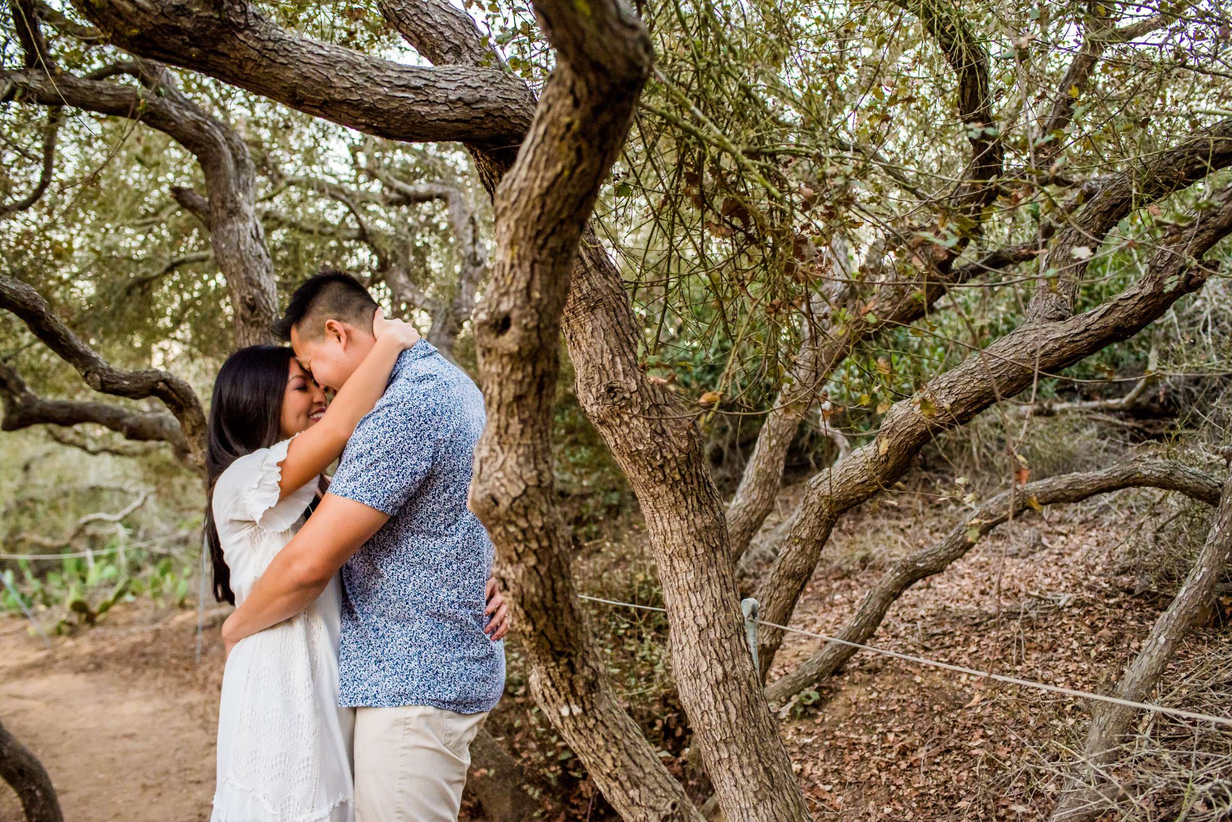 Engagement, Tiffany and Paul Engagement Photo #27 by True Photography