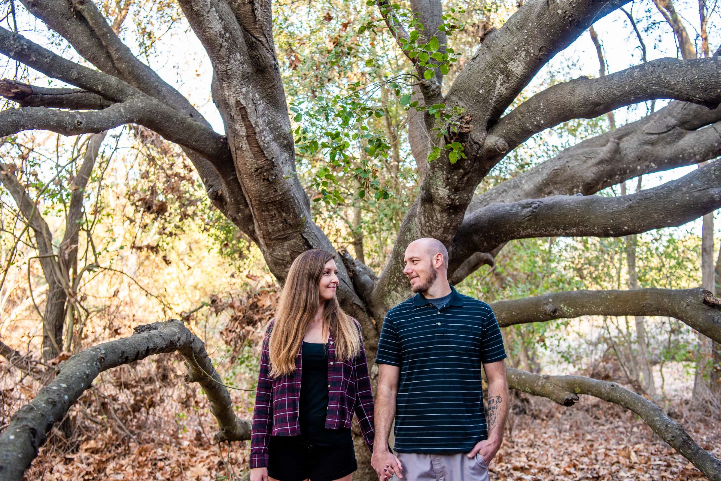 Engagement, Deanna and Charlie Engagement Photo #1 by True Photography