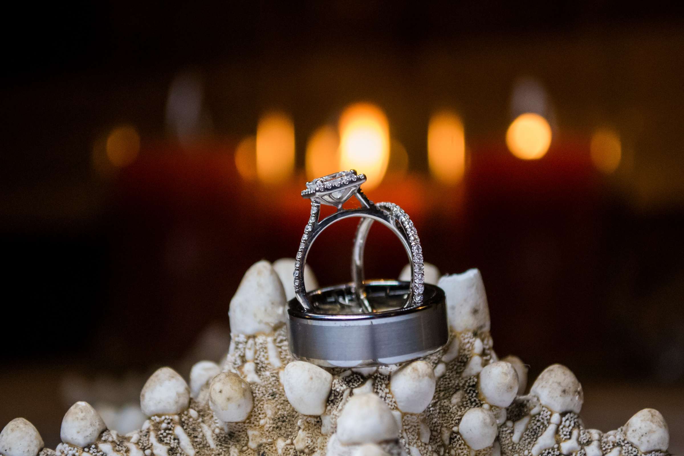 Rings at San Diego Mission Bay Resort Wedding, Emily and Jonathan Wedding Photo #19 by True Photography