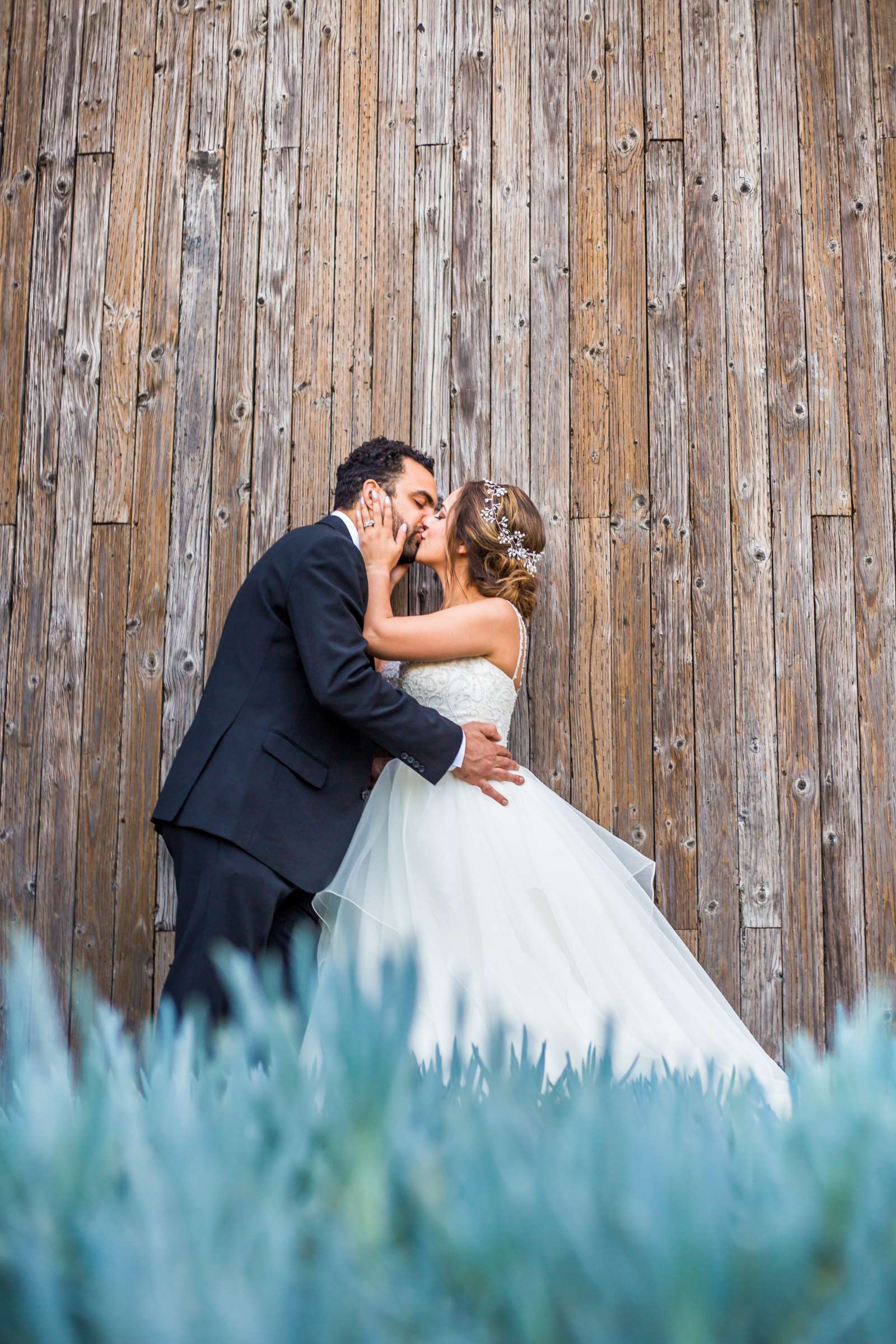 Wedding coordinated by Holly Kalkin Weddings, Damaris and Anthony Wedding Photo #60 by True Photography