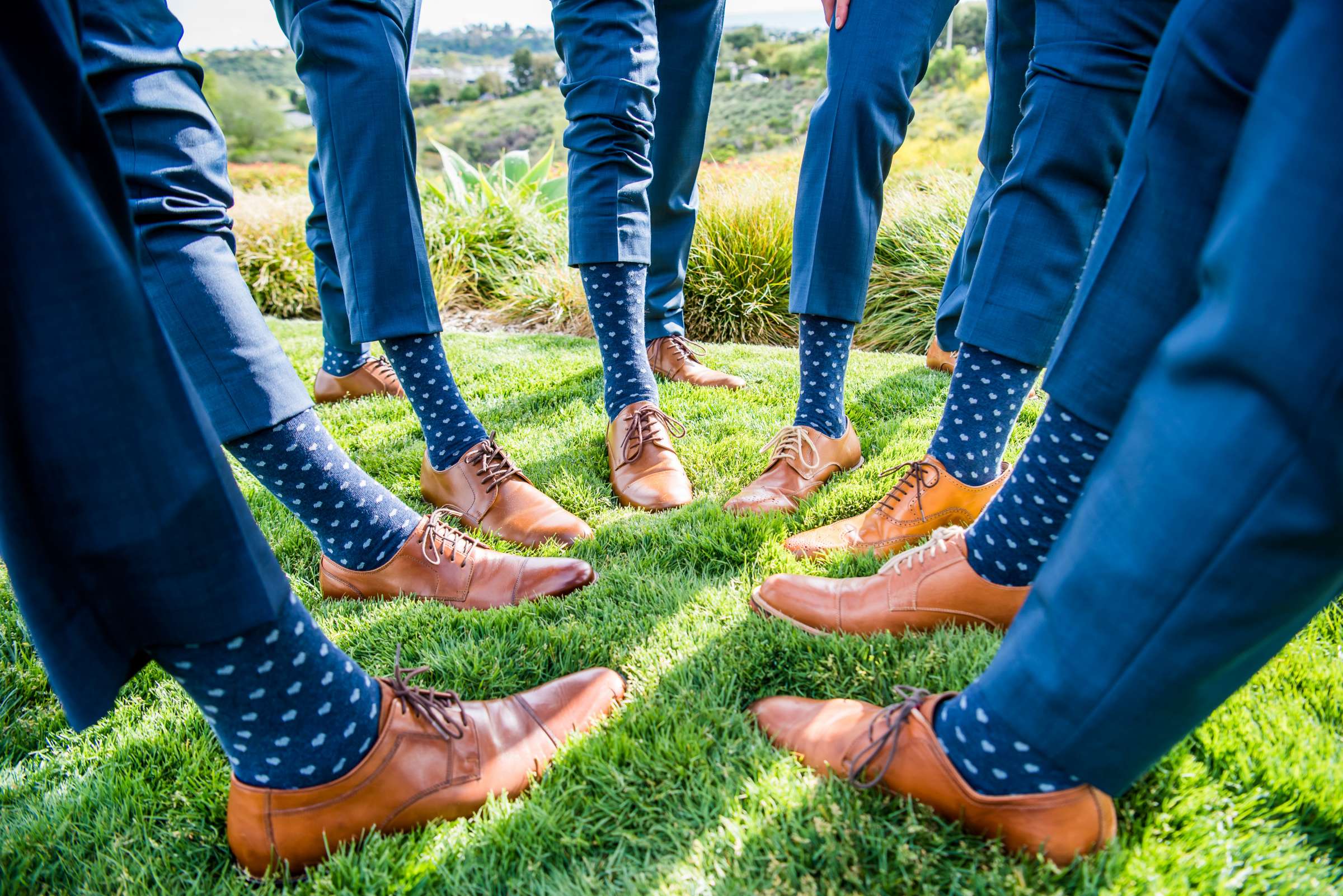 The Crossings at Carlsbad Wedding, Devin and Matt Wedding Photo #65 by True Photography