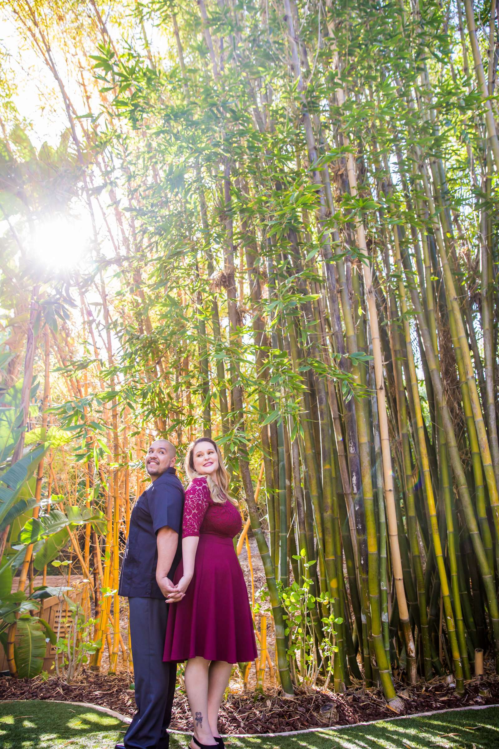 Grand Tradition Estate Engagement, Teela and Nelson Engagement Photo #534361 by True Photography