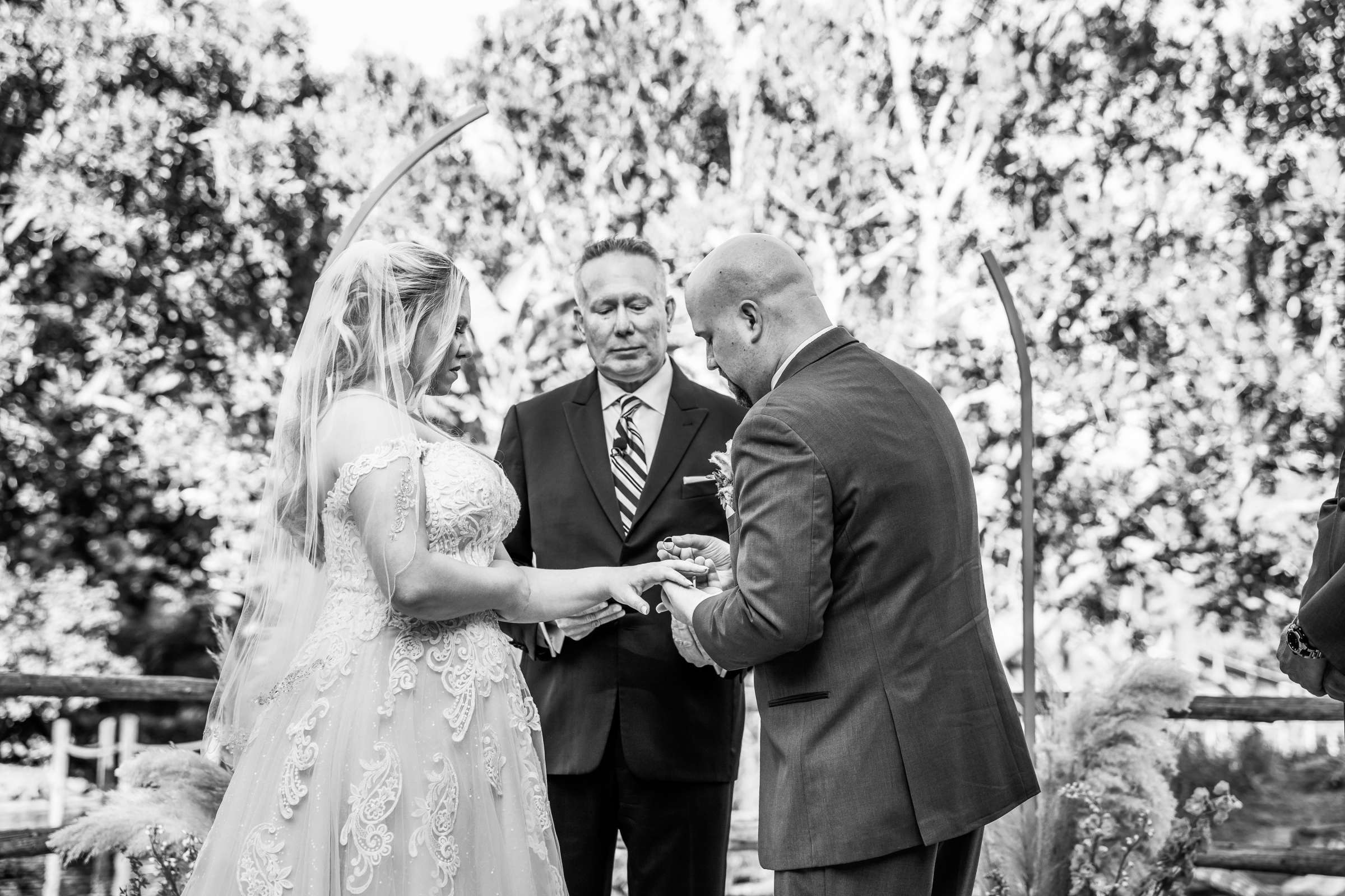 Safari Park Wedding coordinated by Always Flawless Productions, Stefanie and Travis Wedding Photo #70 by True Photography