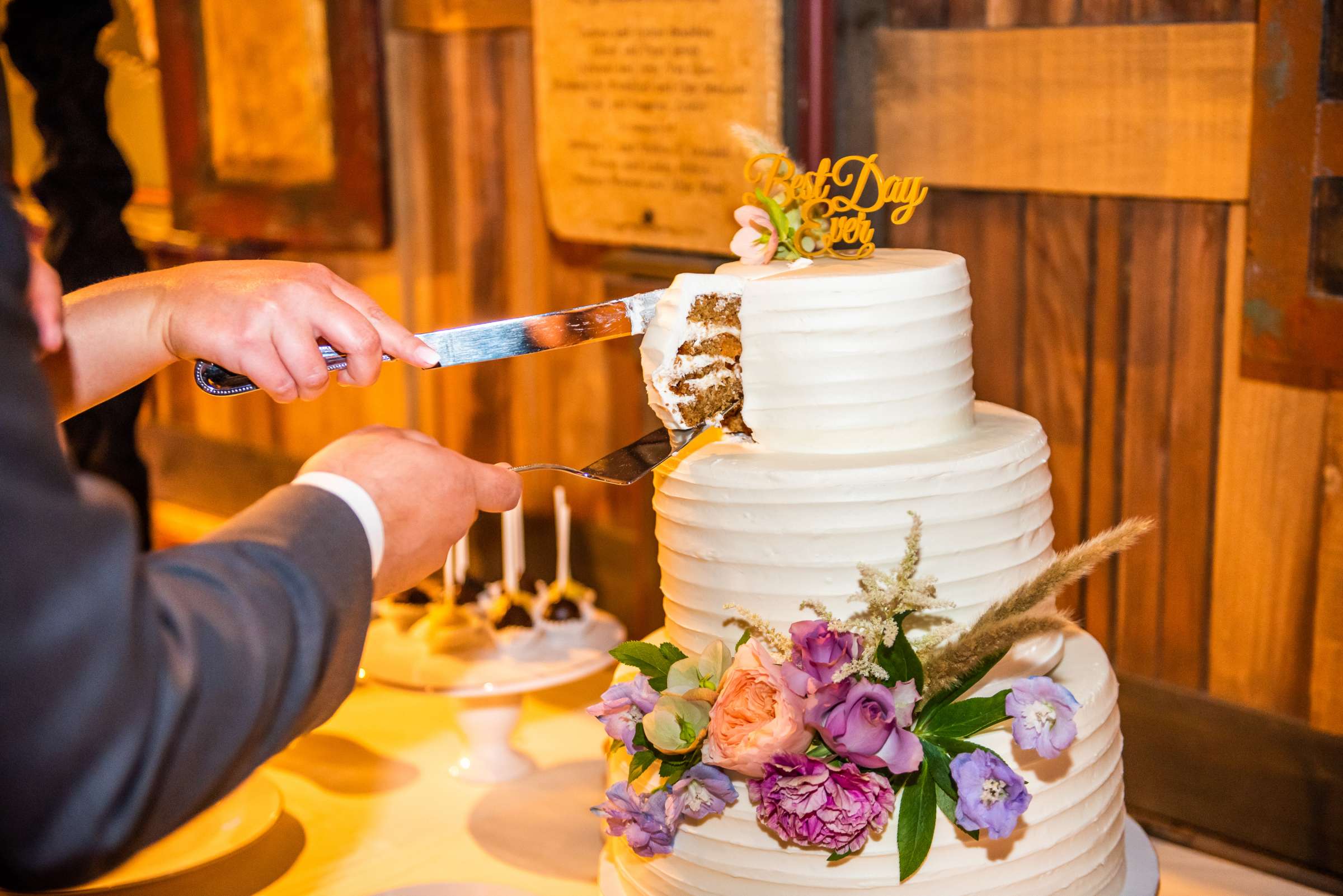 Safari Park Wedding coordinated by Always Flawless Productions, Stefanie and Travis Wedding Photo #96 by True Photography