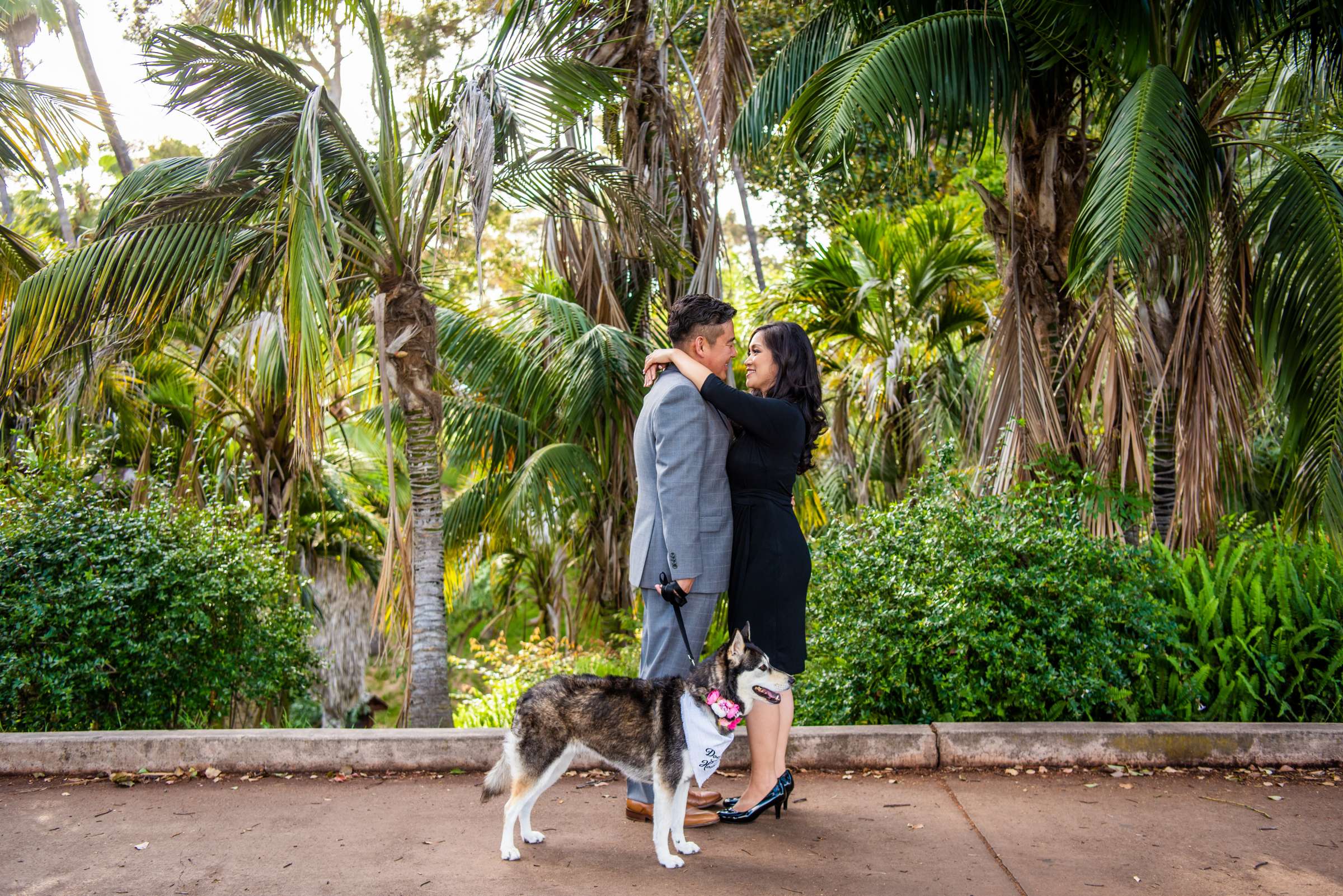 Engagement, Beth and Brian Engagement Photo #9 by True Photography