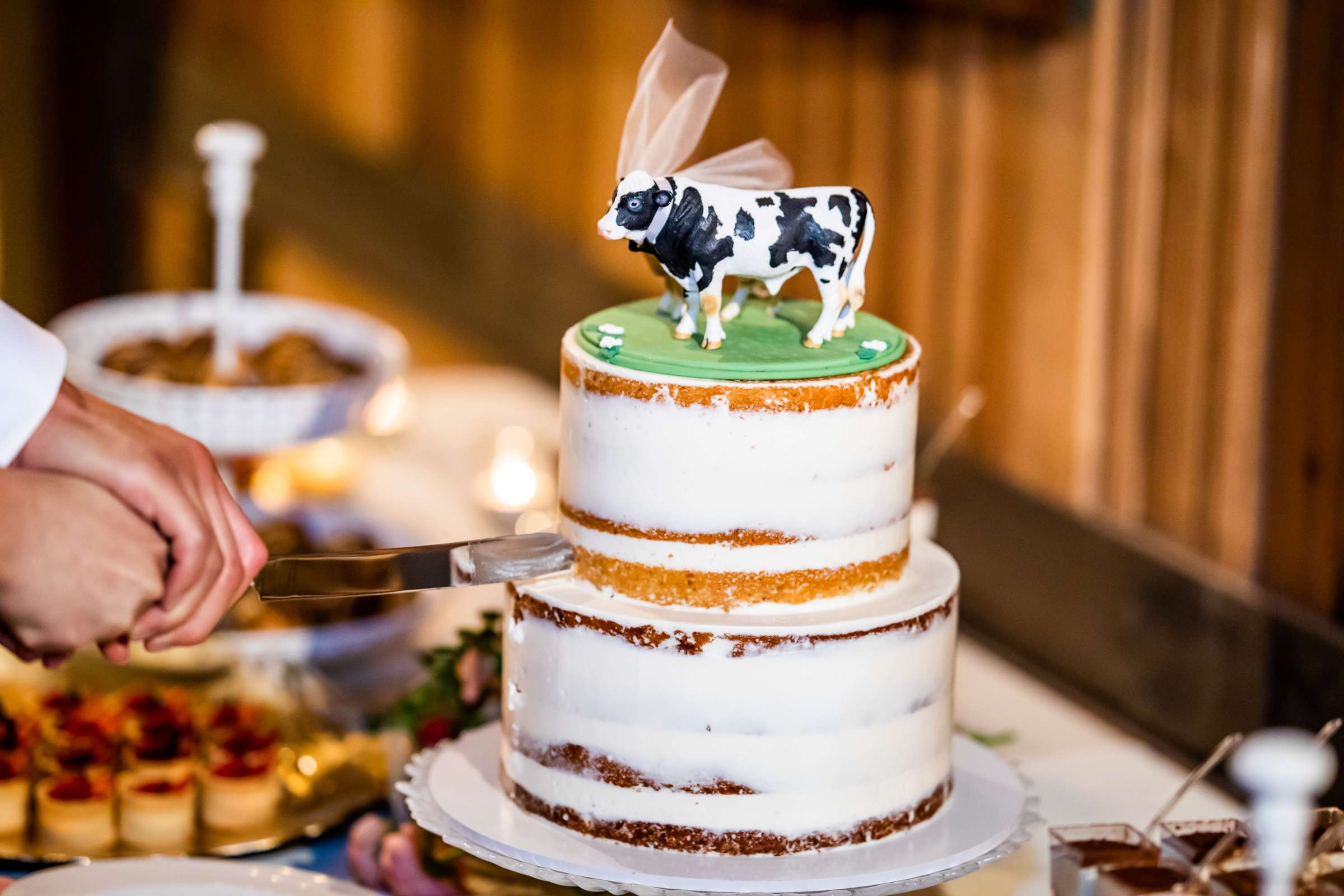 Safari Park Wedding coordinated by Holly Kalkin Weddings, Min and Edward Wedding Photo #539290 by True Photography