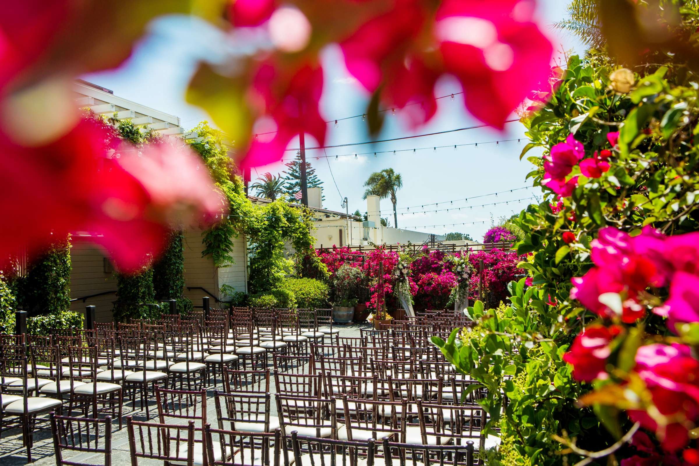 Cuvier Club Wedding, Rachel and Shawn Wedding Photo #51 by True Photography