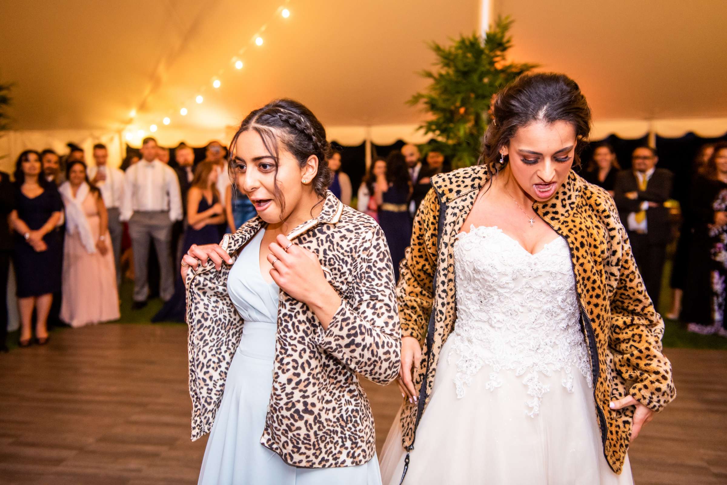 Ethereal Gardens Wedding, Nicole and Luke Wedding Photo #172 by True Photography