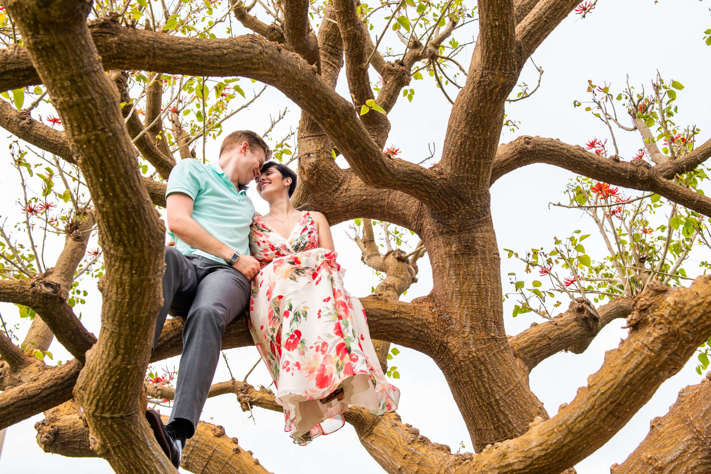 Engagement, Diana and Harrison Engagement Photo #6 by True Photography