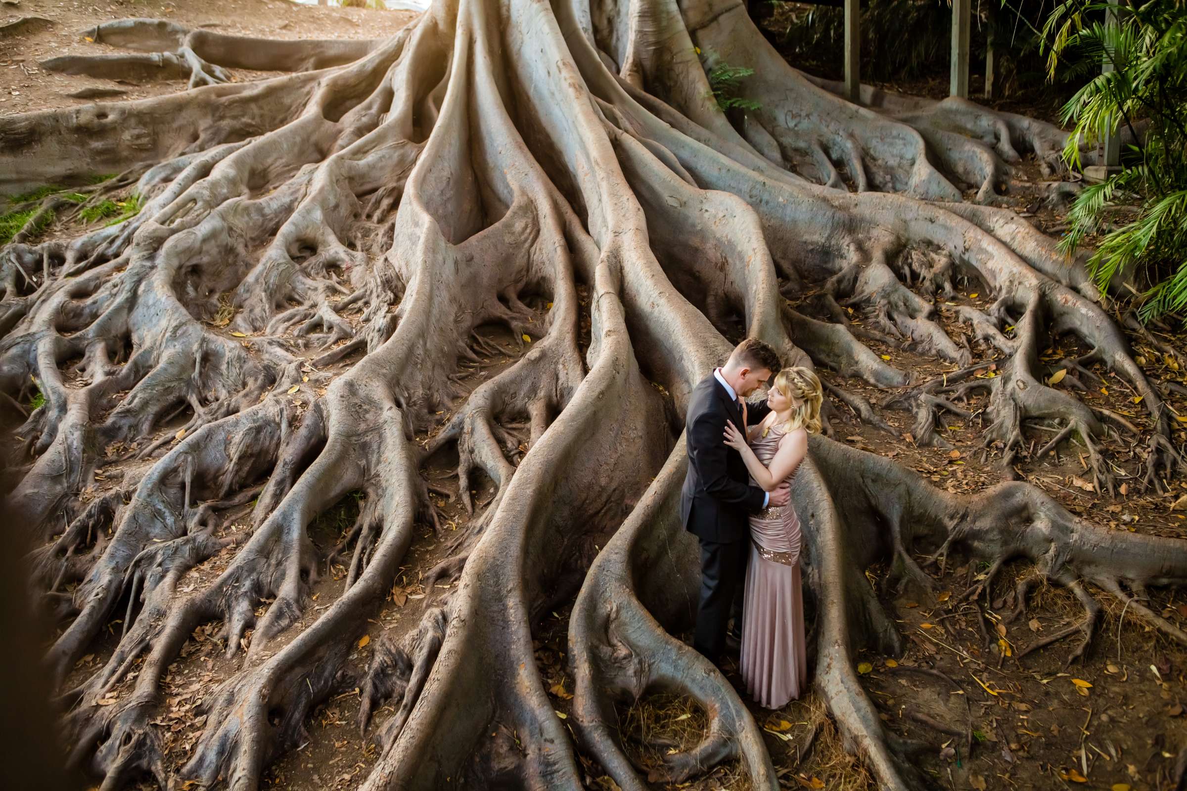 Engagement, Stephanie and Hunter Engagement Photo #22 by True Photography